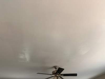 Ceiling Repair with Mold Treatment & Paint Restoration