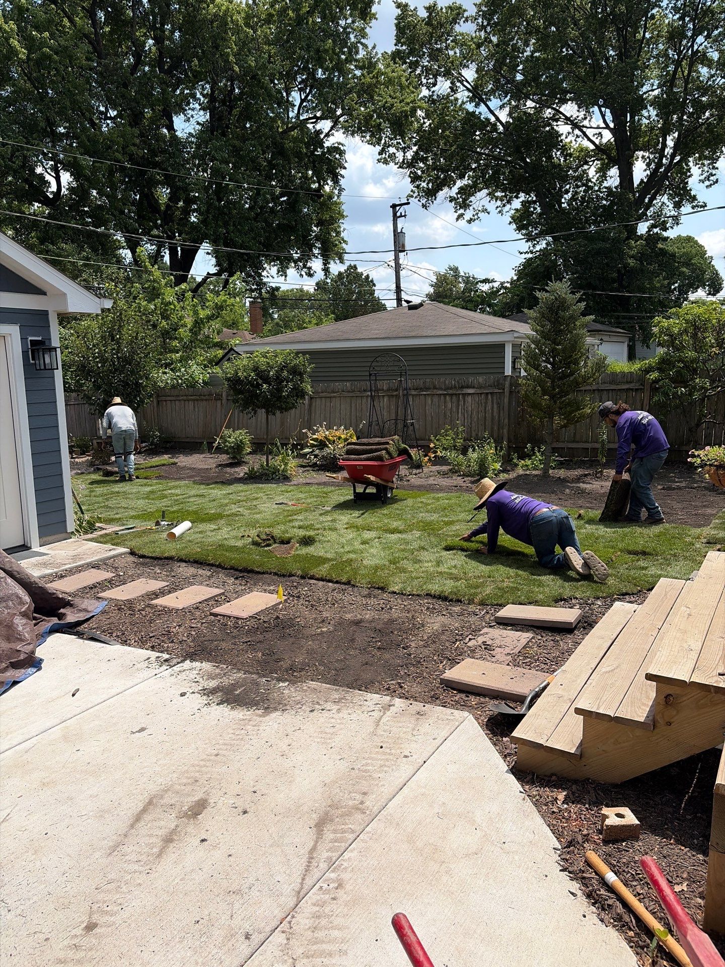 Joanne C. - Mount Prospect, IL by A&N 