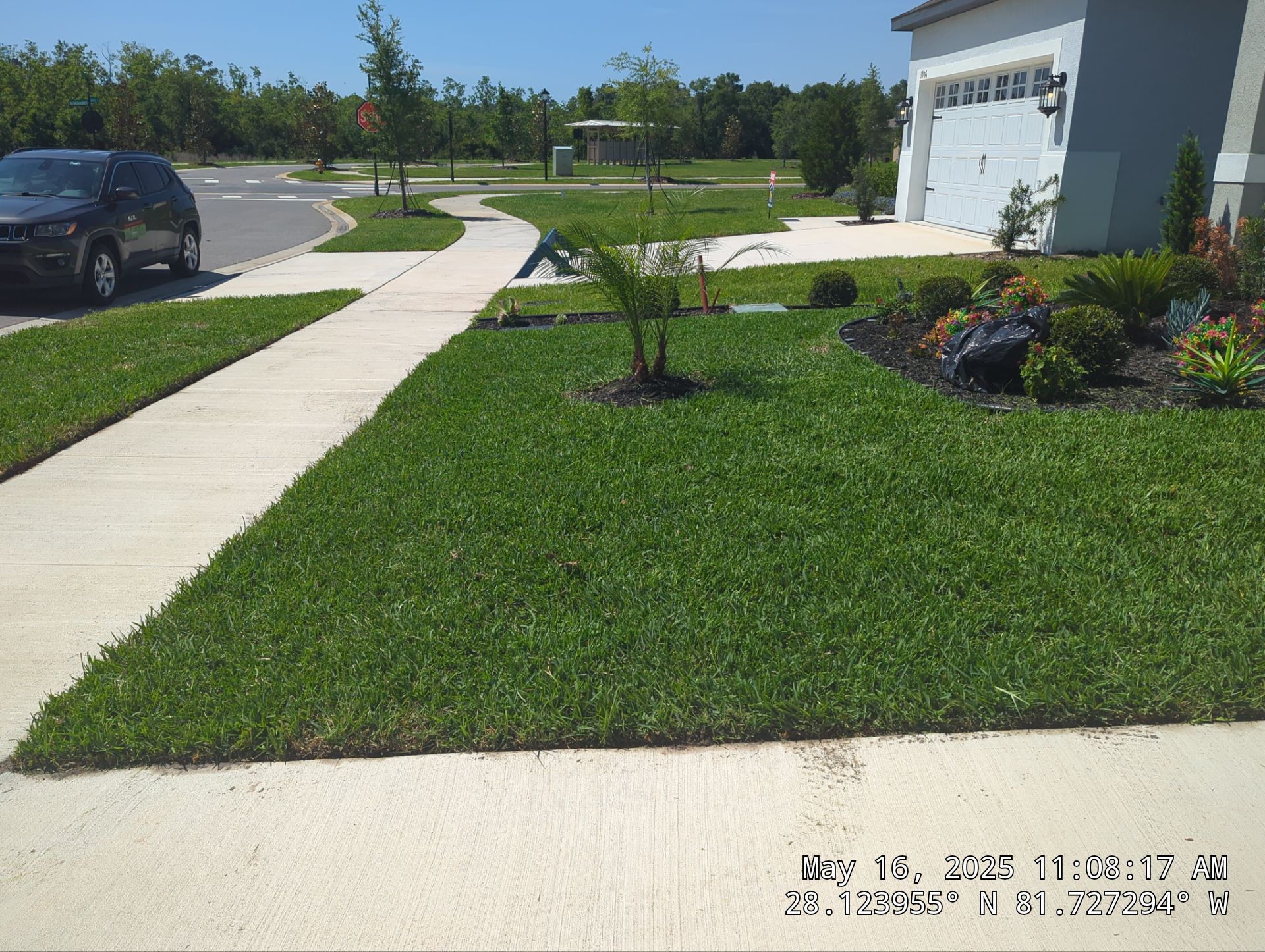 Complete Lawn Restoration with St. Augustine Sod by 
M.A.B. Landscaping & Property Maintenance