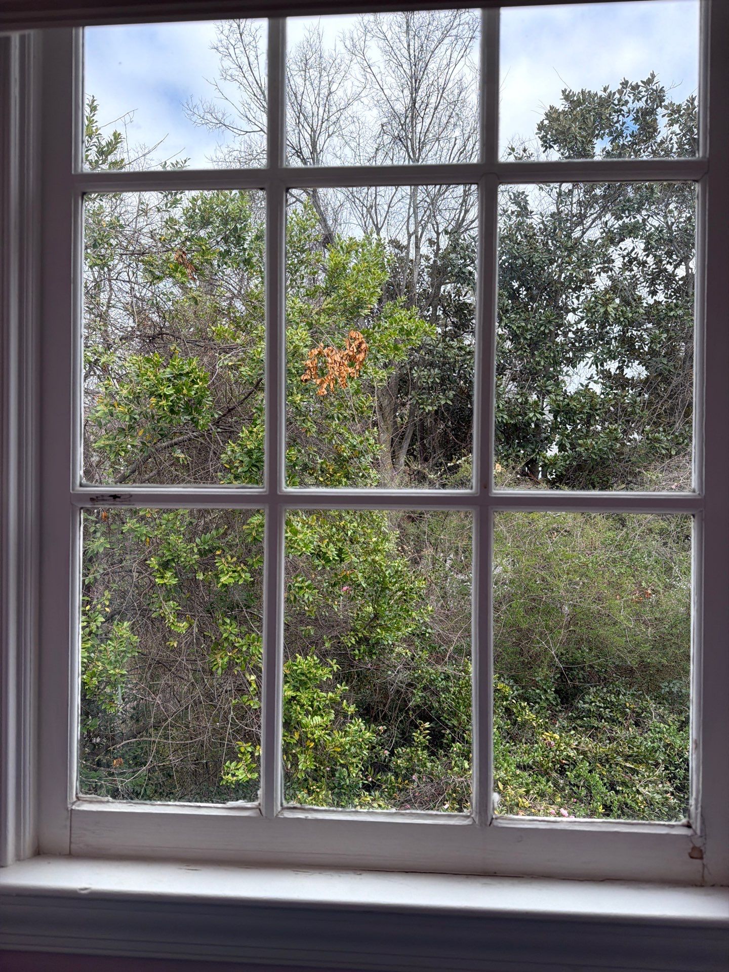 Interior Wall Repair and Crown Molding Installation by Praise God Painting, LLC