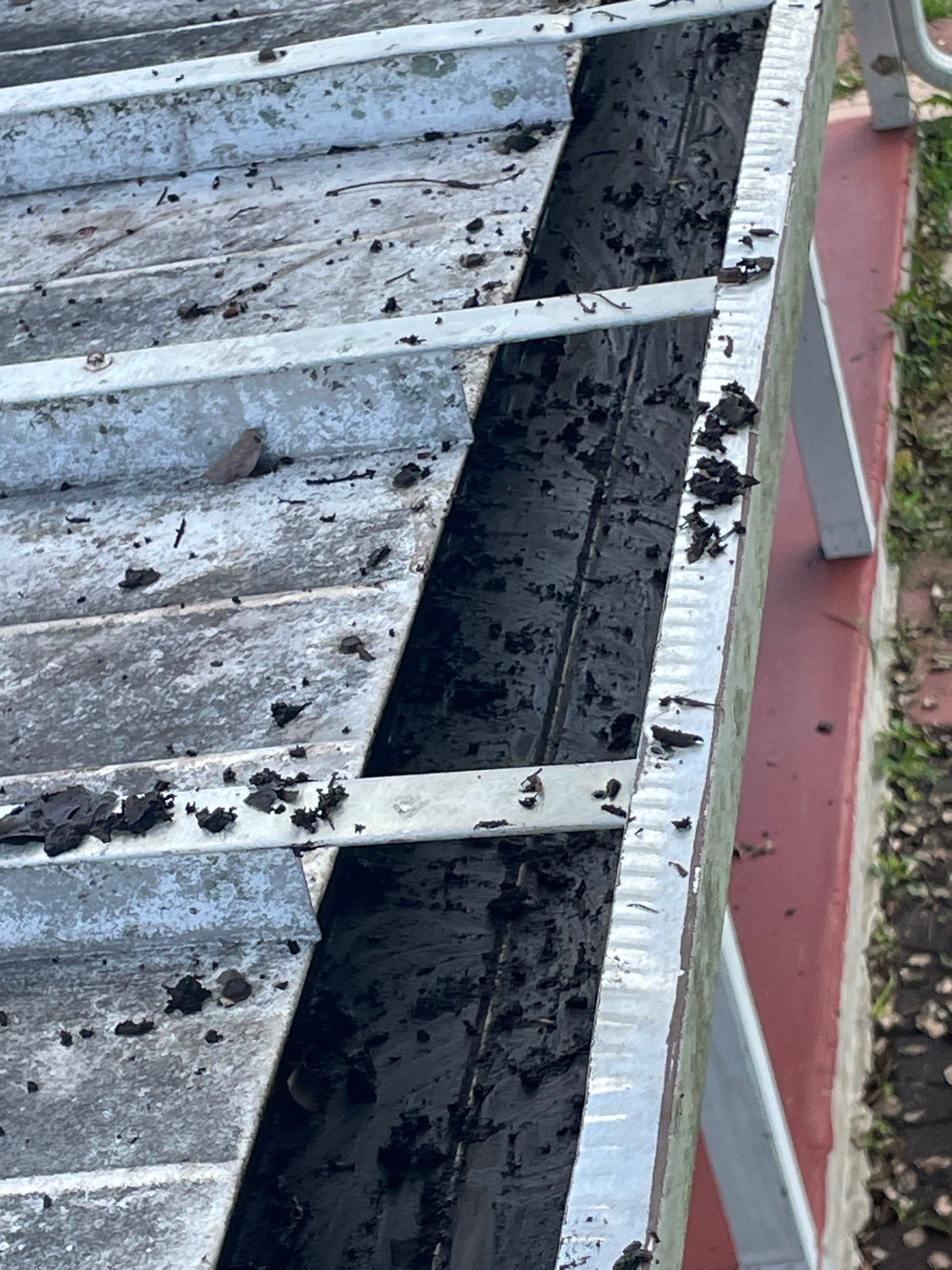 Gutter Cleaning in Brandon FL by Gutter Professors