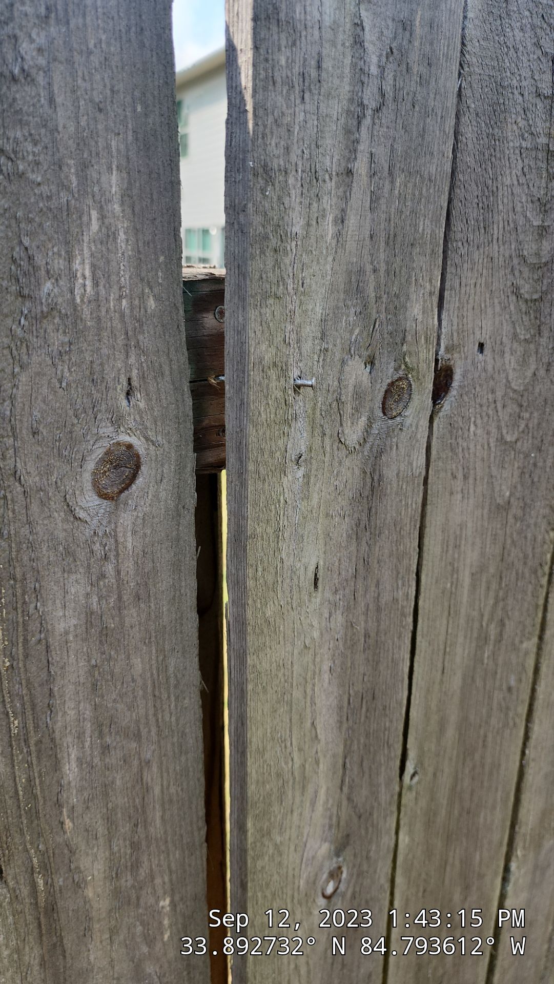 Fence Restoration using Chocolate by SSE by Titans of Timber Fence & Stain