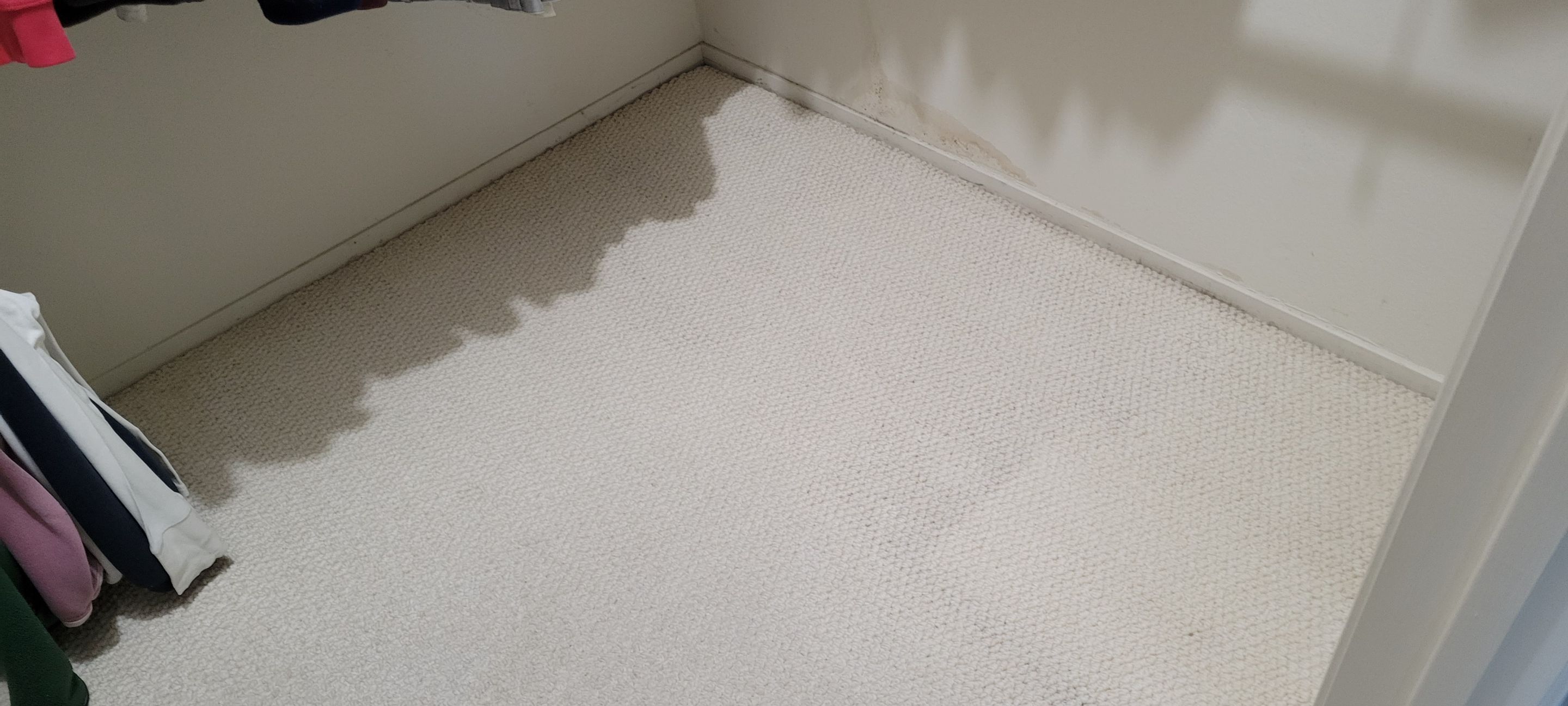 Carpet Restoration after Water Damage by Ardent Carpet Restore LLC