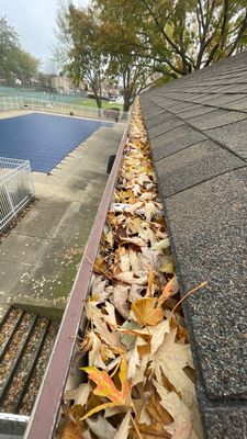 Gutter Protection for Bannockburn Homes