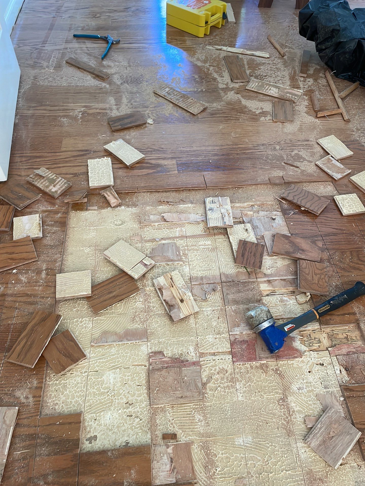 Entire House - Laminate install by Footprints Floors of East Atlanta