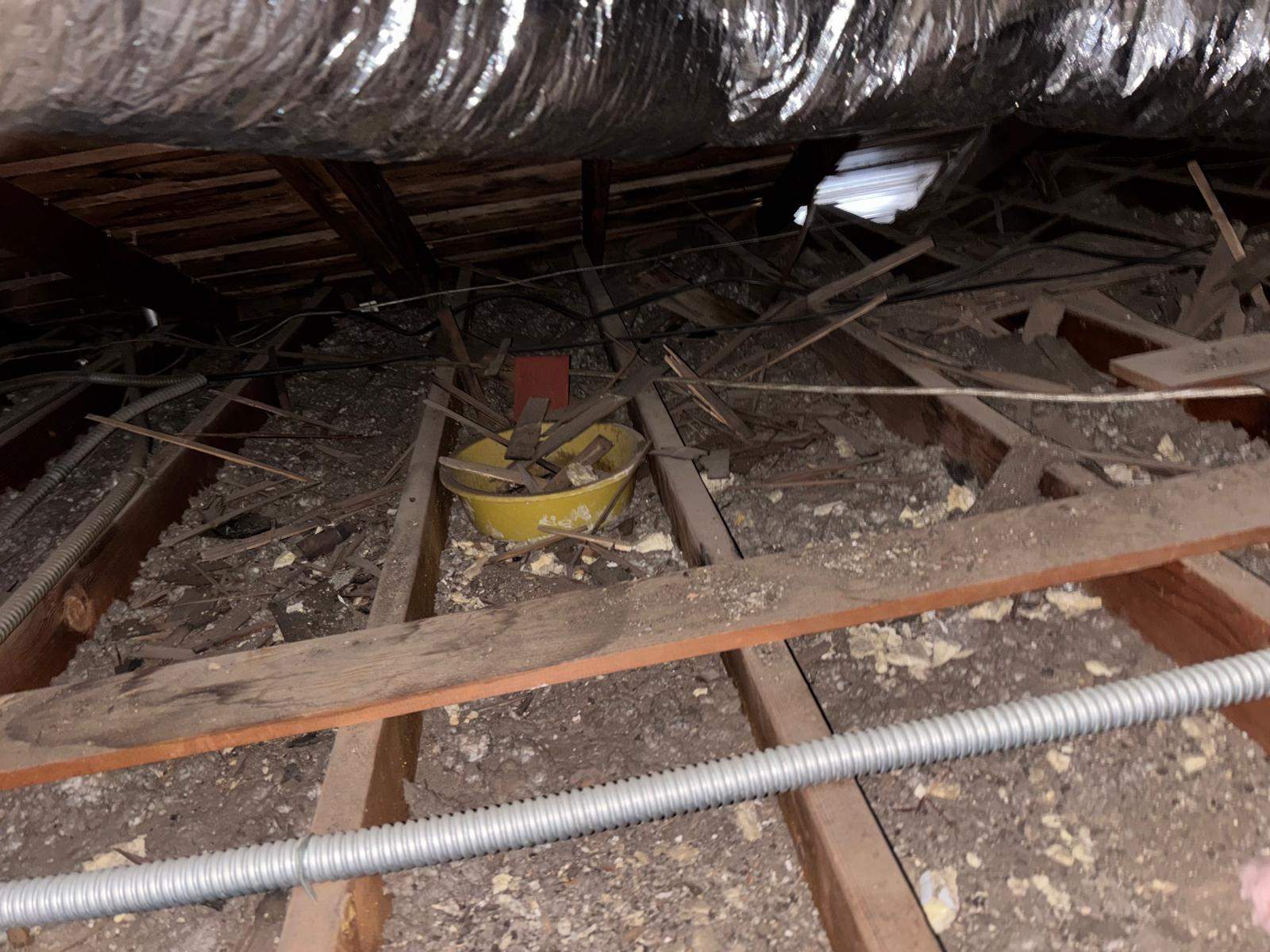 Project in Placentia by Insulation Labs