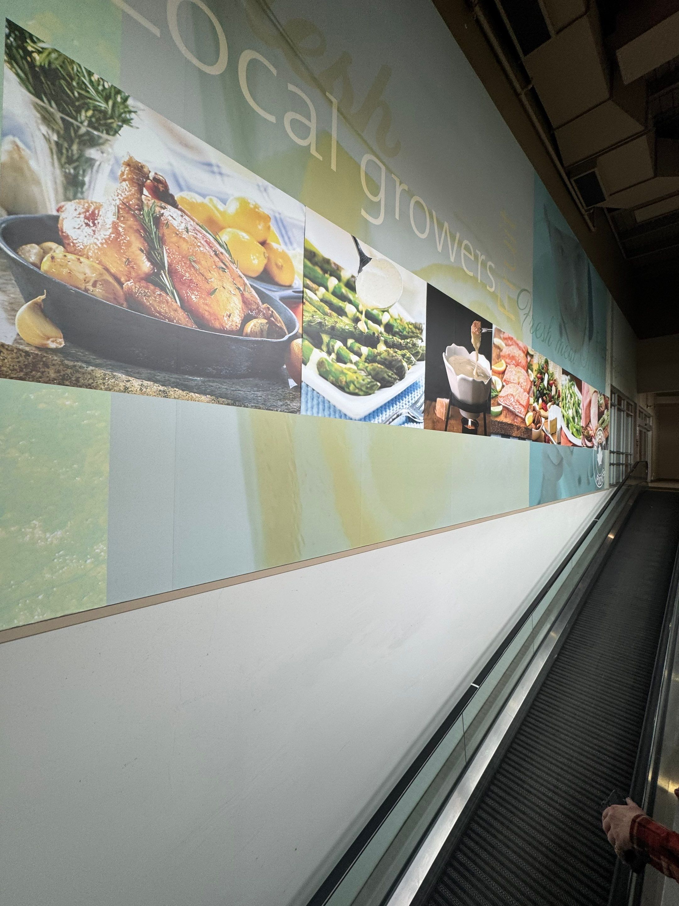 Commercial Prime & Paint Project by YVR Construction Group
