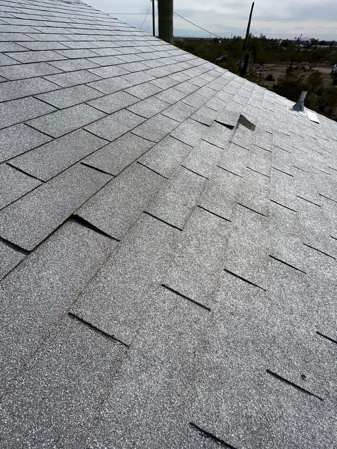 Lucy's  Full Re-roof by All Storm Roofing & Construction