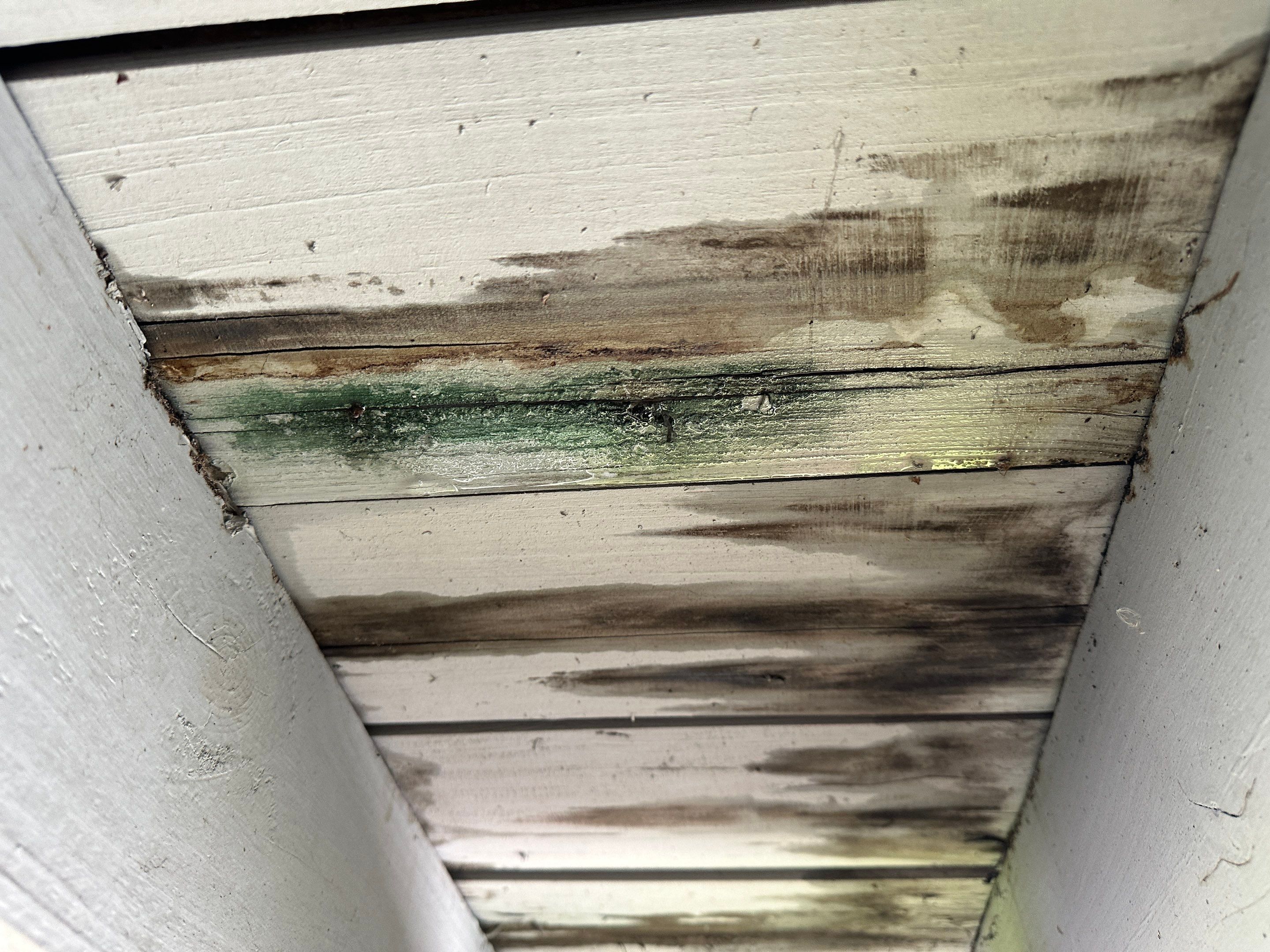 Hurricane Damage Claim in Hollywood by FLAPA & KeyStone