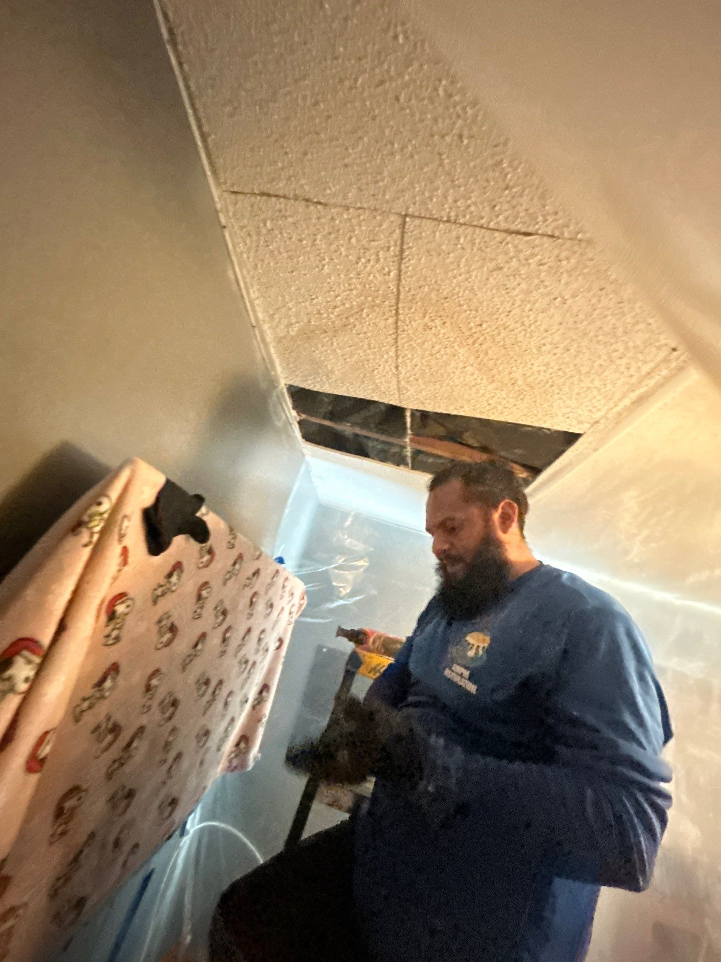 Pebble Springs Water Mold by Ampm Restoration Services
