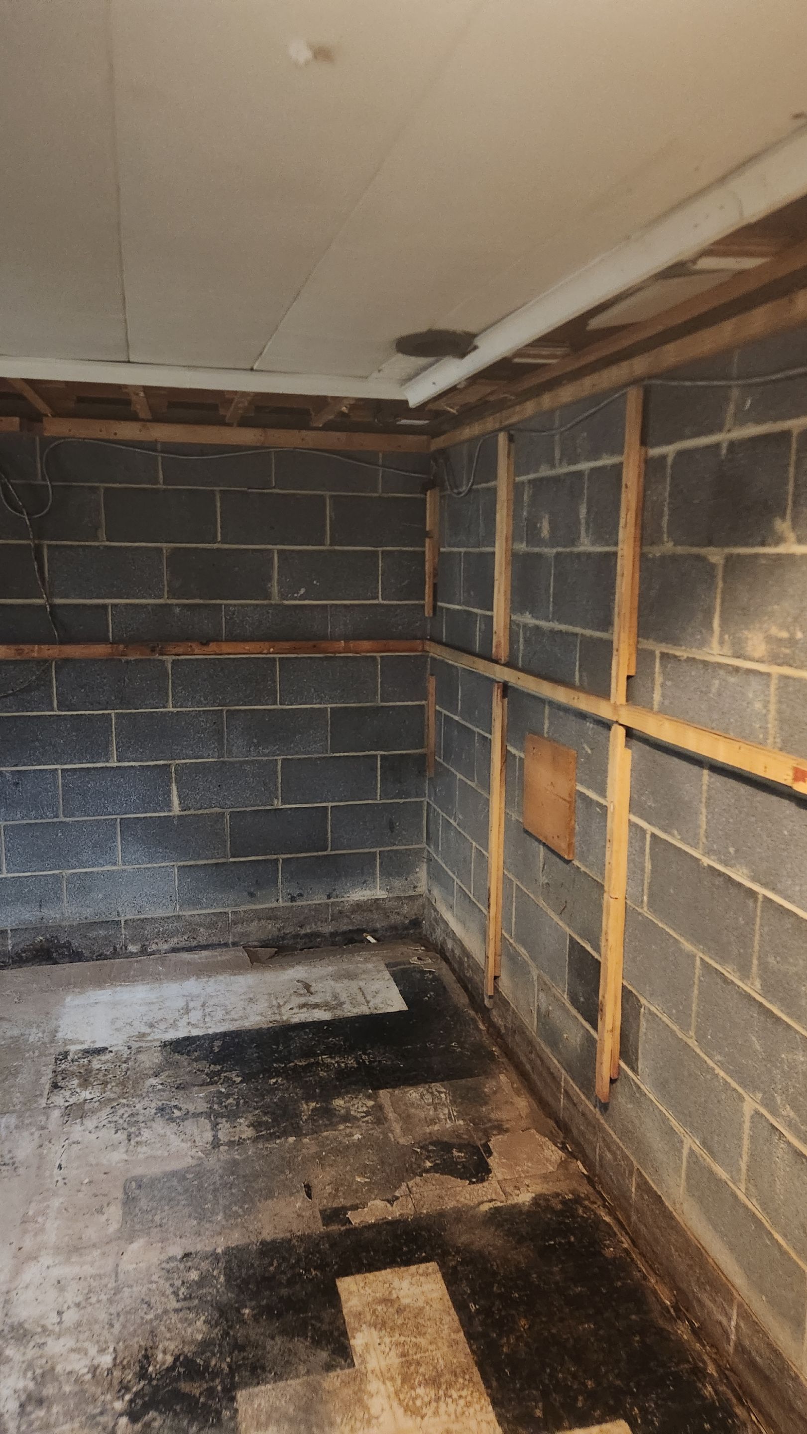 Interior French Drain & Mold Remediation Project in Manville, New Jersey by Pure Service Pro, LLC 