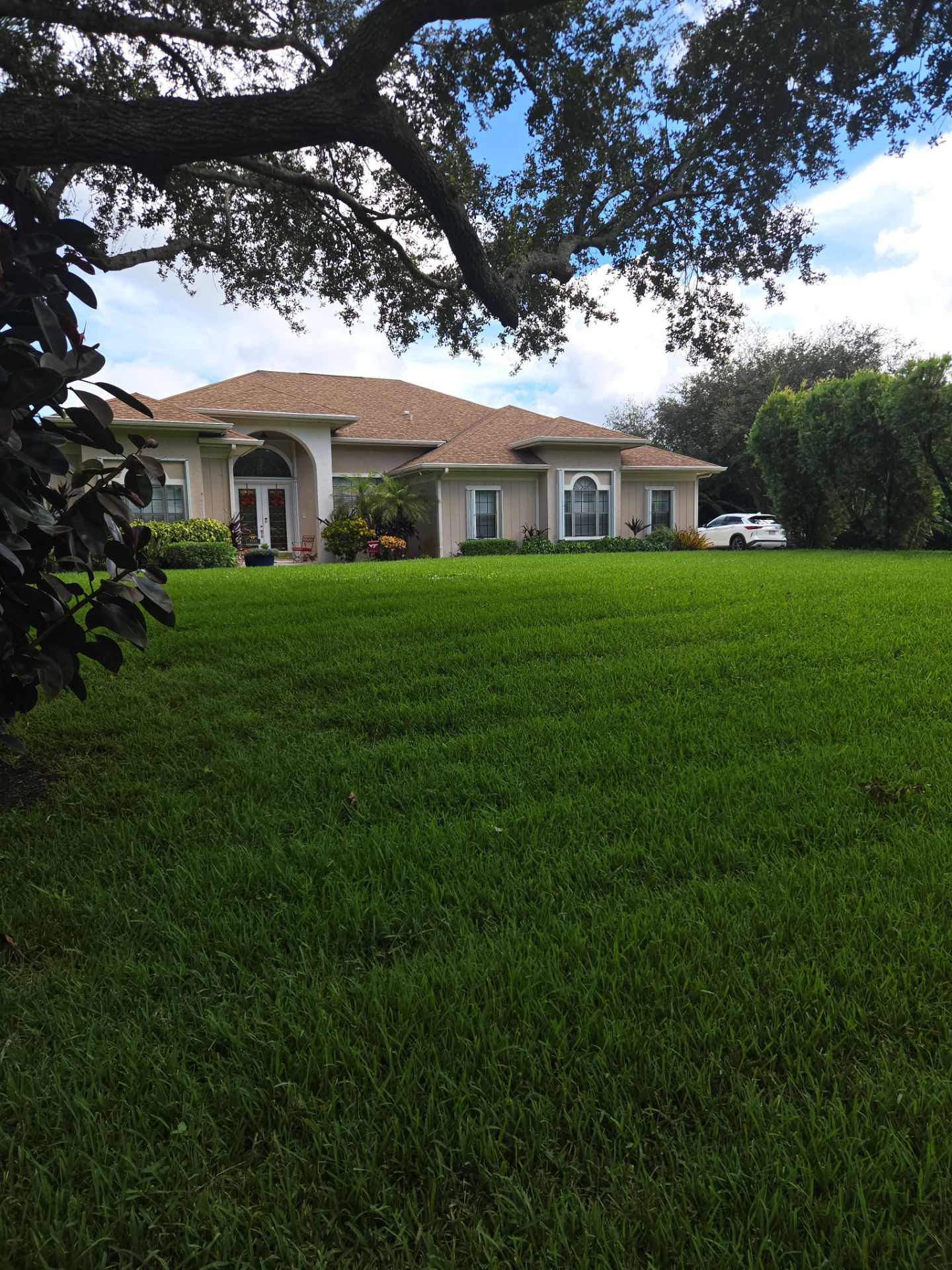 🌴✨ “Crane Creek Snip, Tip & Tune-Up” ✨🌴 by Alpha Zeta Enterprises Inc