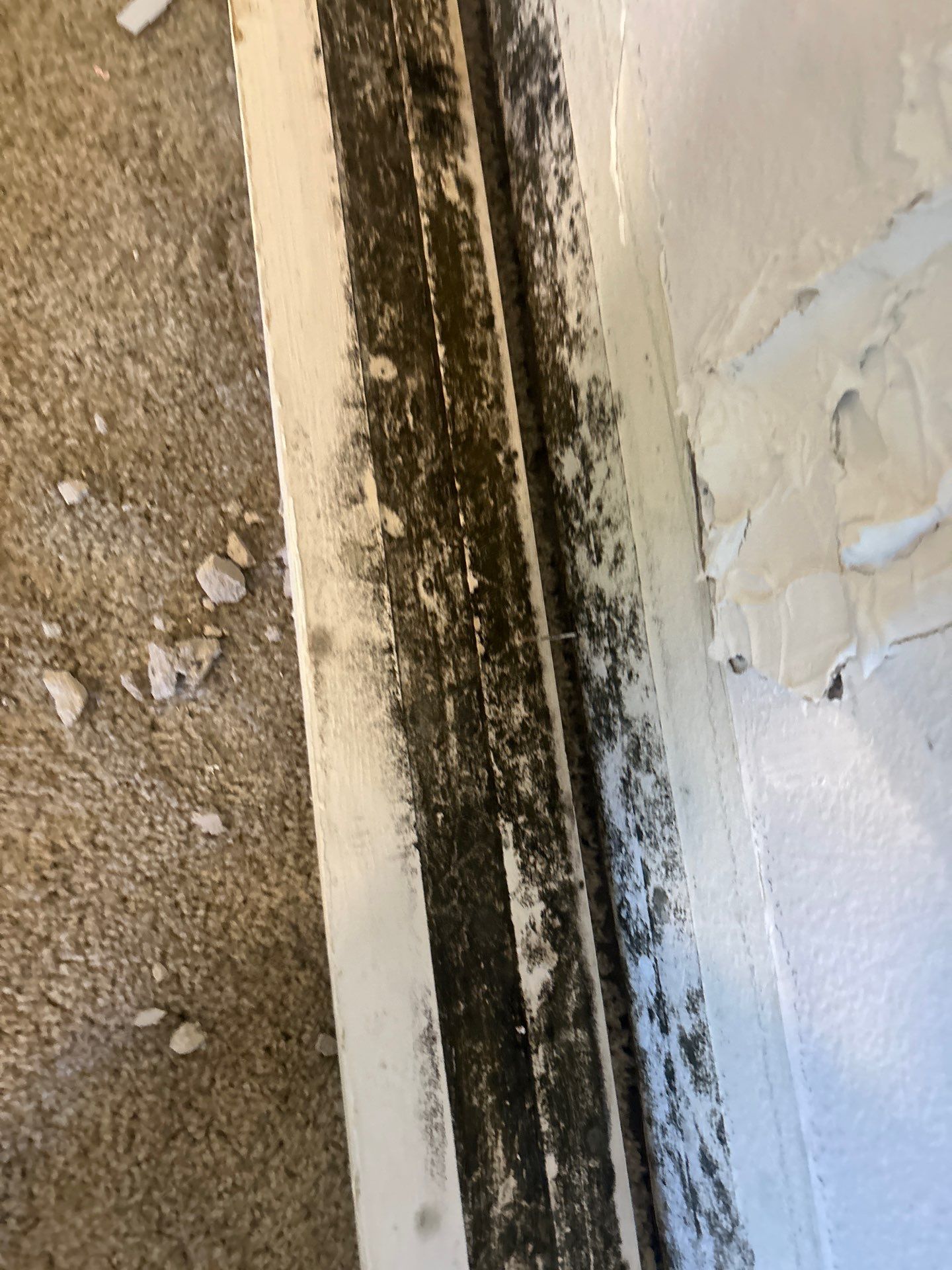 Commercial Storm Damage Repair by Ampm Restoration Services