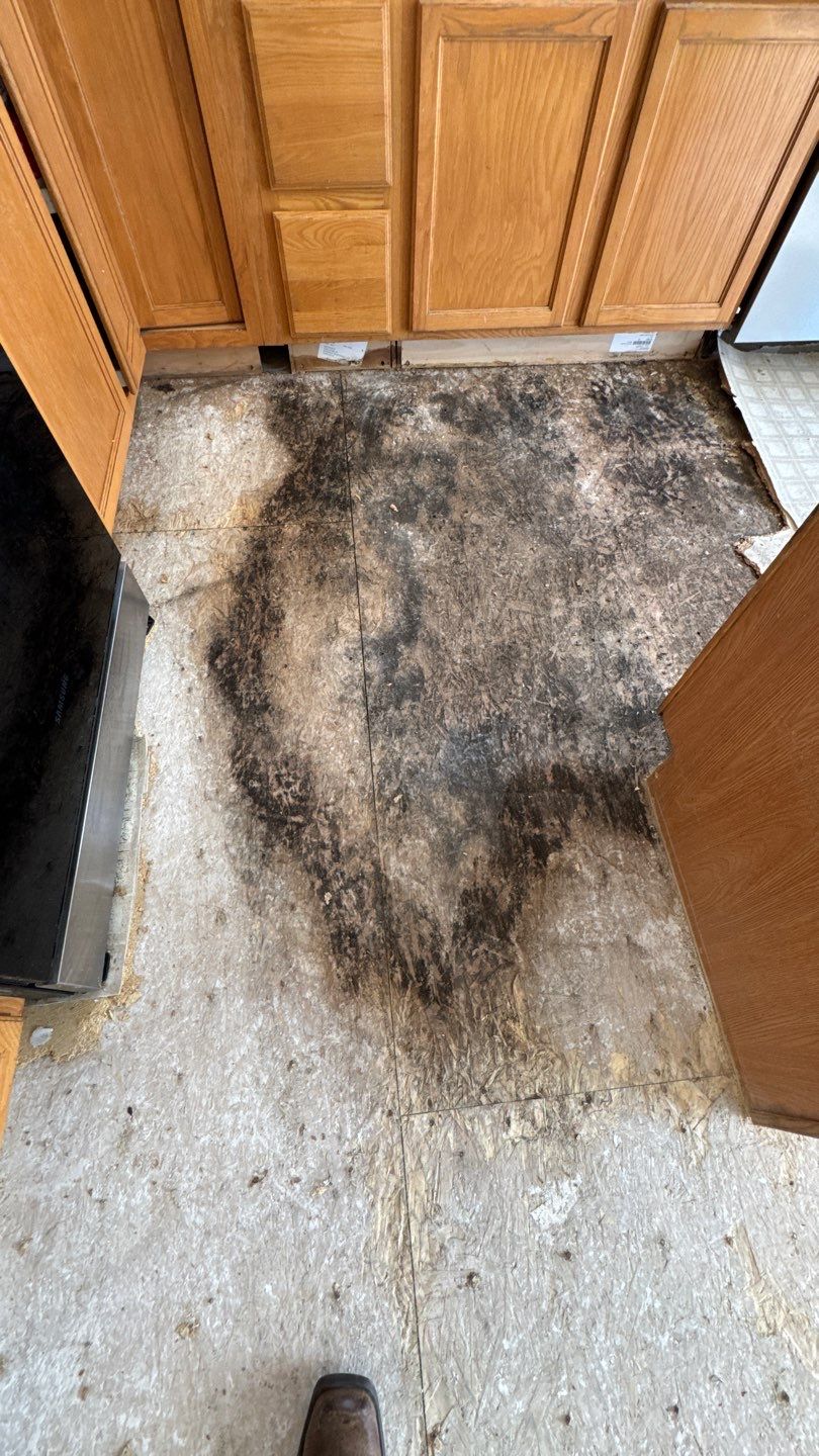 Project in Thornton by Accountable Home Services