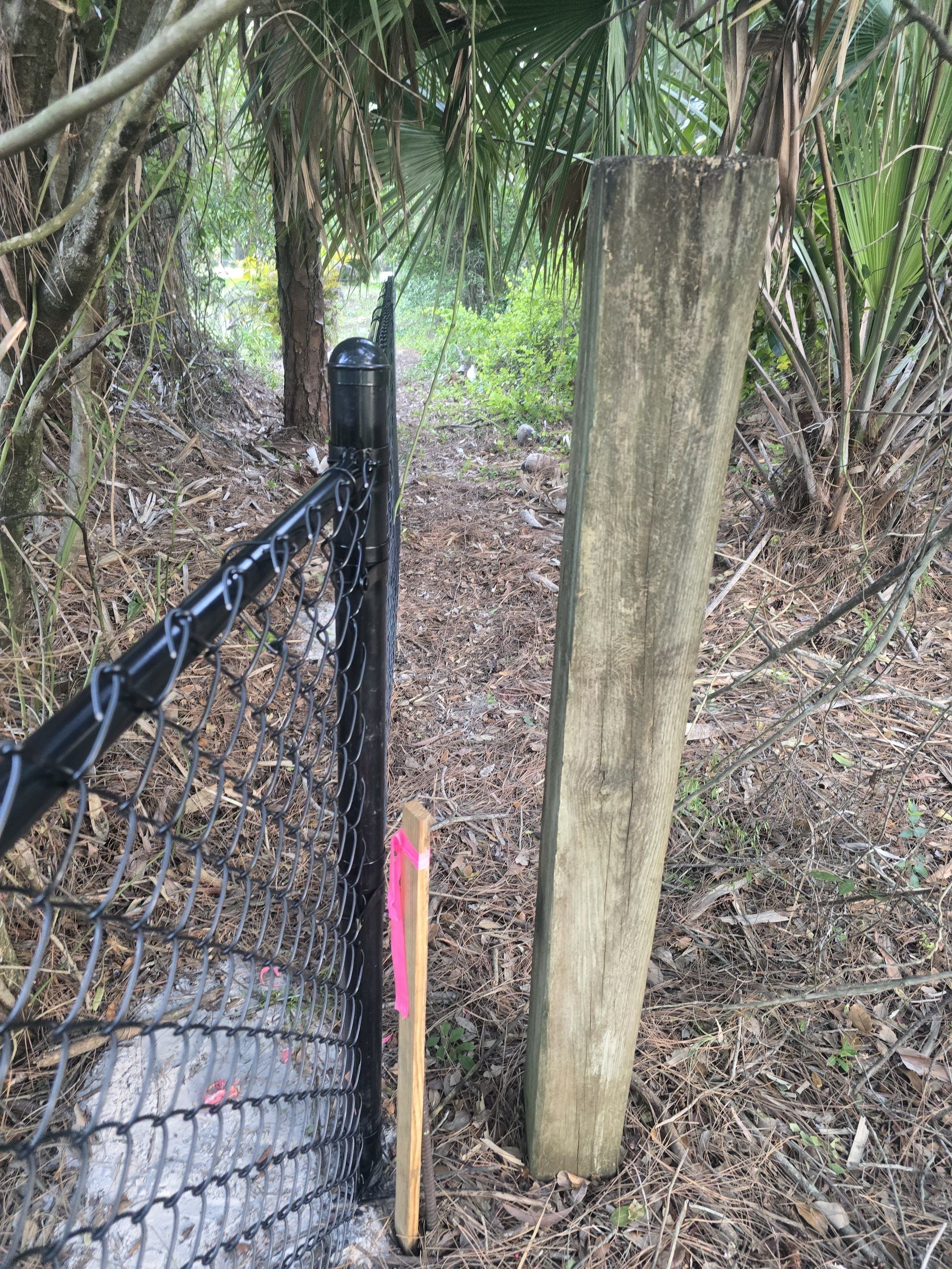 Chain Link Fence in Naples by True Fence LLC