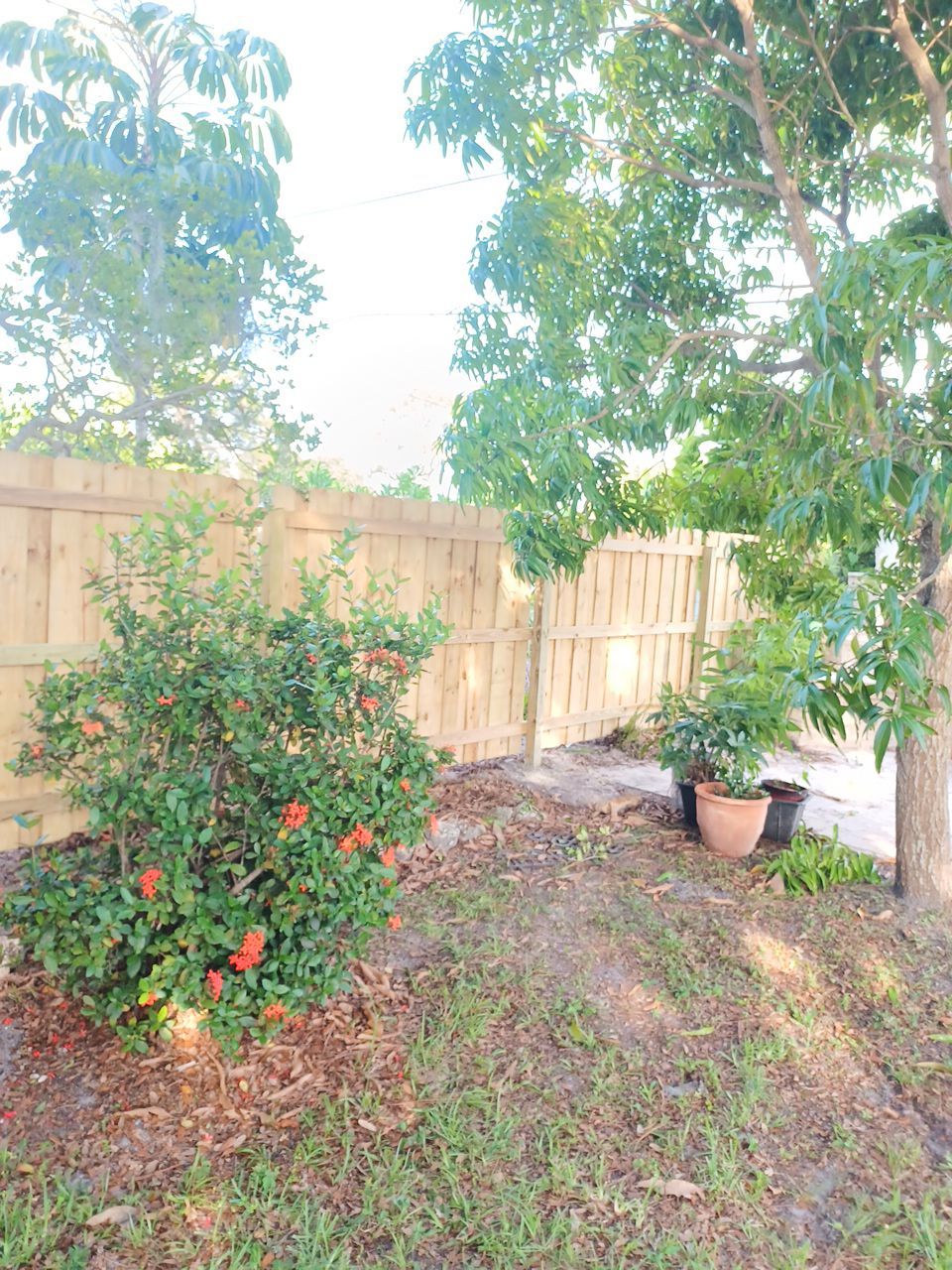 Sarasota, FL 6ft. Tall Treated Board on Board Wood Fence by Asap fence and gates, LLC