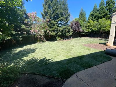 Project in Roseville