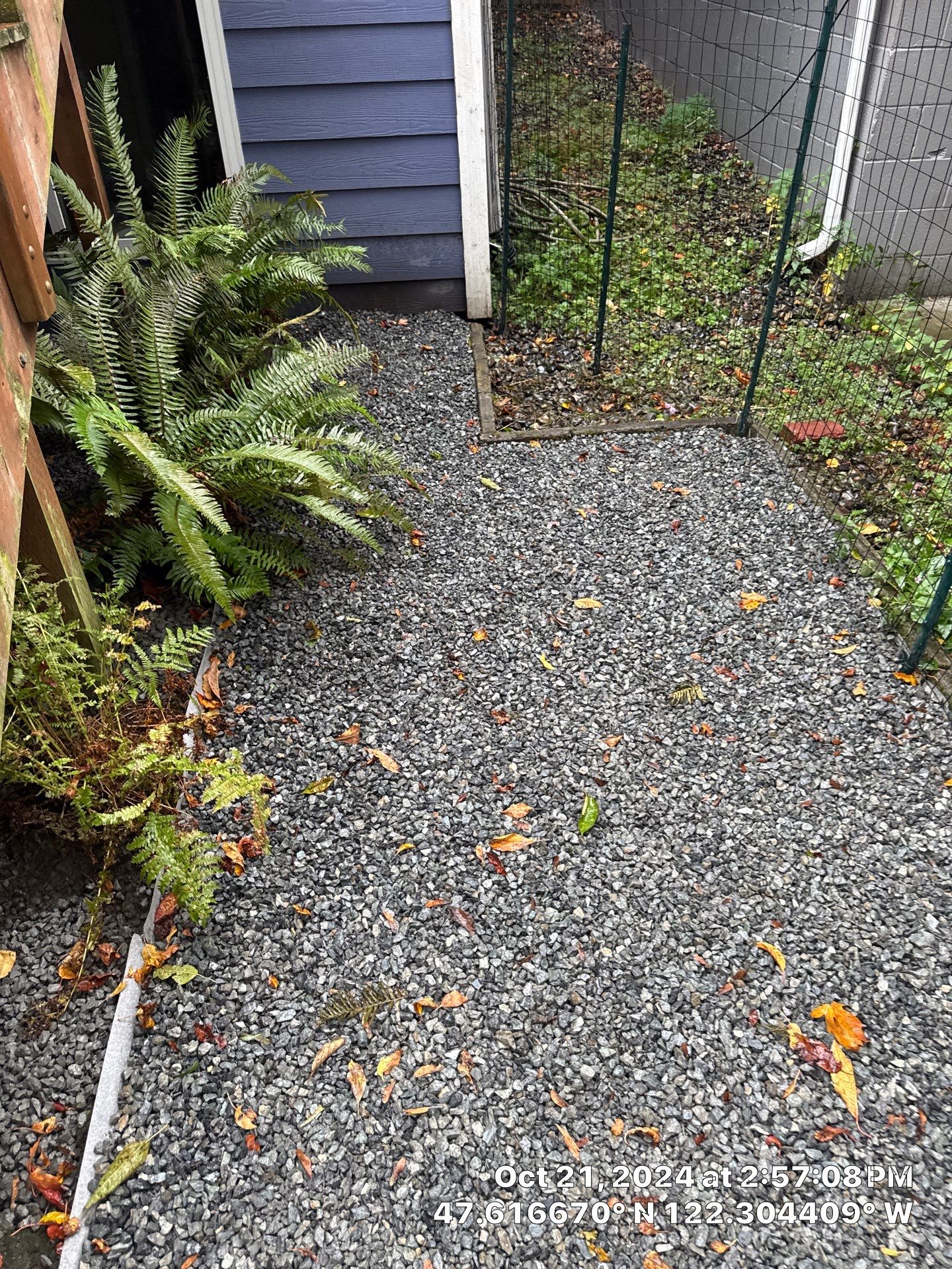 Turf Installation, Retaining Wall & Concrete Walkway | Seattle  by Jireh Asphalt & Concrete Inc 