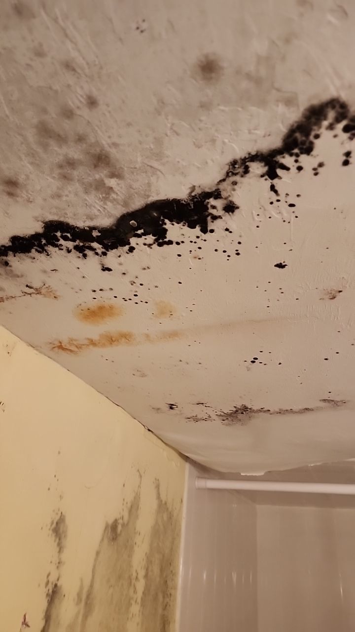 Damage caused from leaking water hea  er by Building performance Solutions LLC