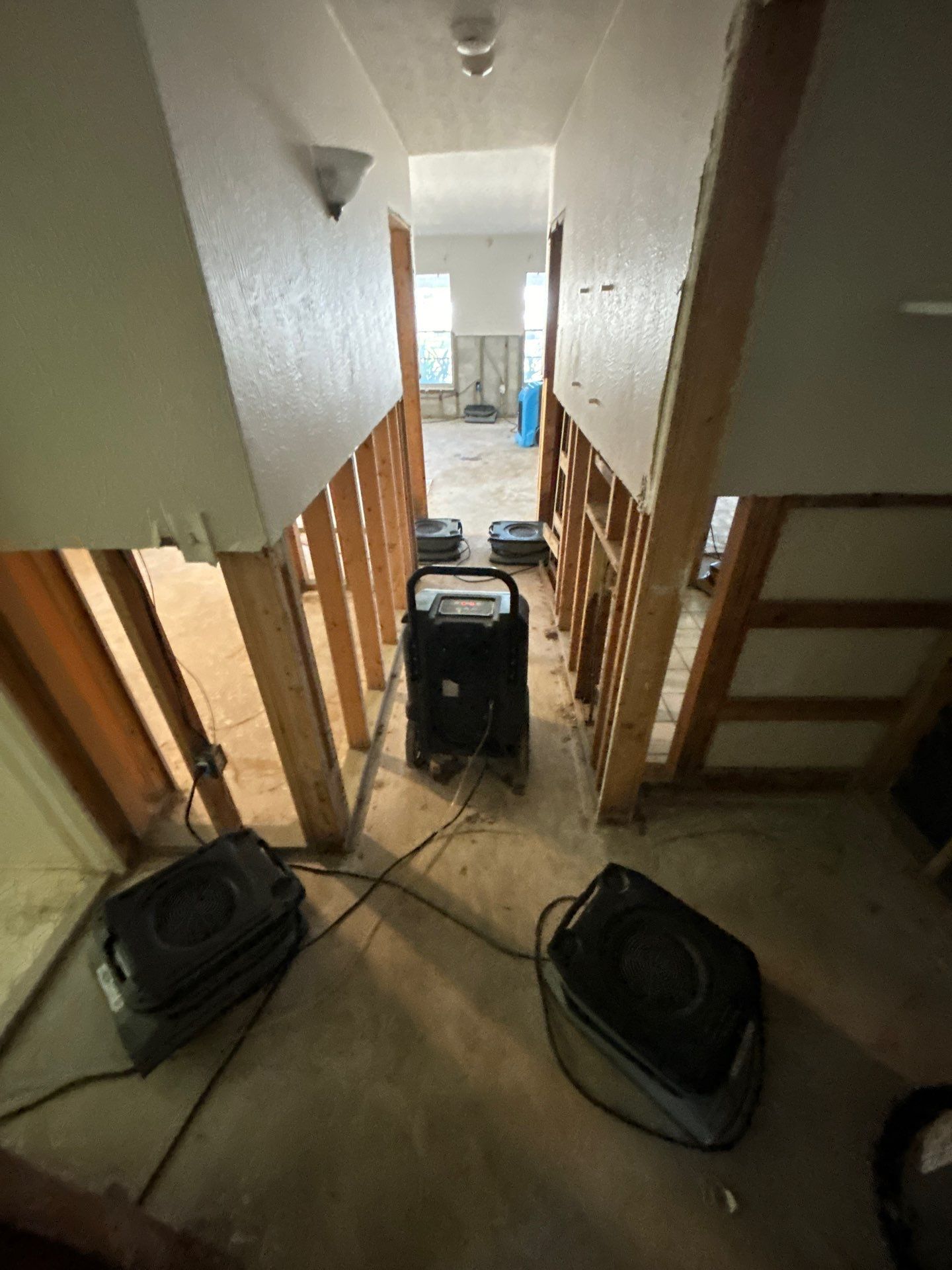 Water Mitigation by Ampm Restoration Services 