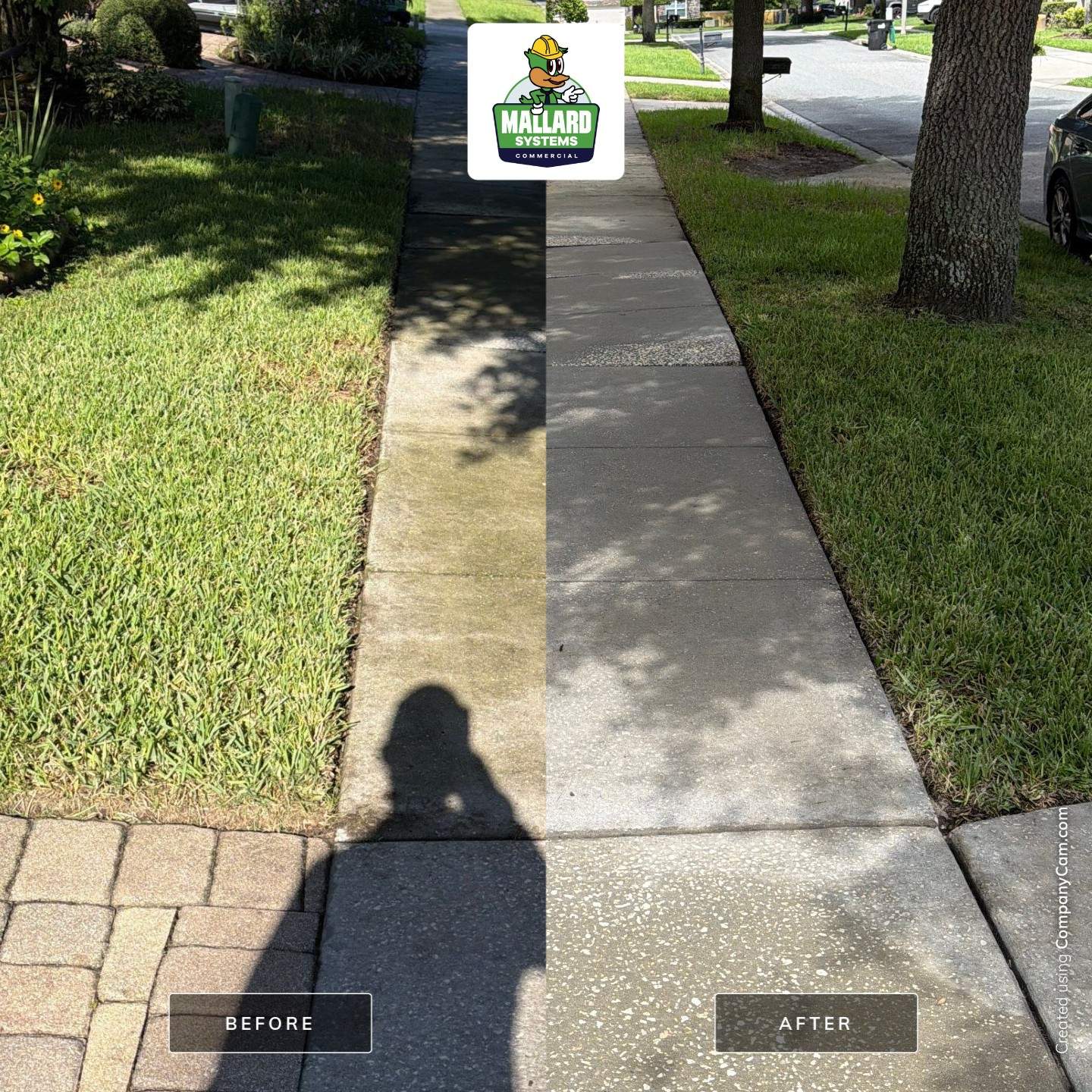 Tile Roof and Concrete Cleaning in Gotha by Mallard Systems