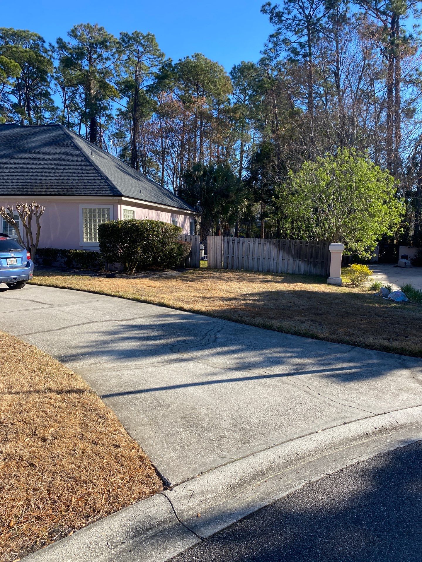 Deerwood Resident | Tree Removal & Clean-Up by ProGreen Services