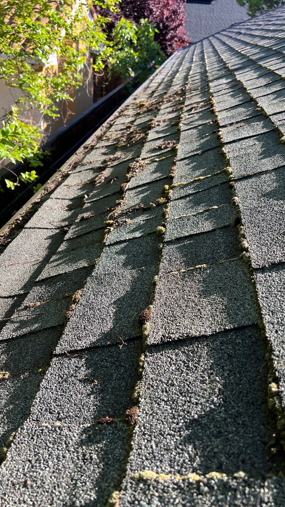 Roof Rejuvenation using Roof Maxx Treatment by Roof Maxx of Folsom