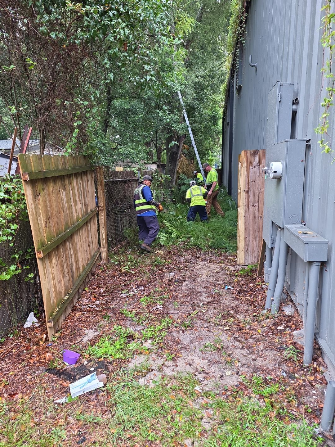 Crash Champions | Tree Removal & Cleanup by ProGreen Services