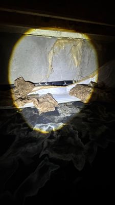 Water Damage Restoration