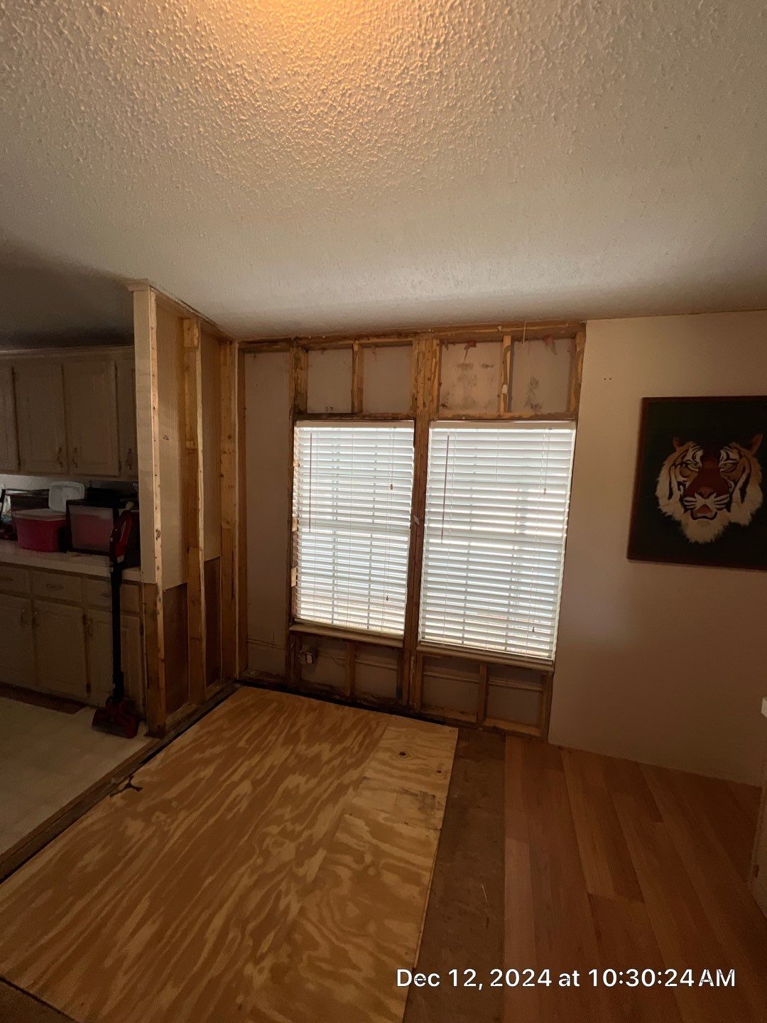 Mold Remediation Palmetto by Ampm Restoration Services 