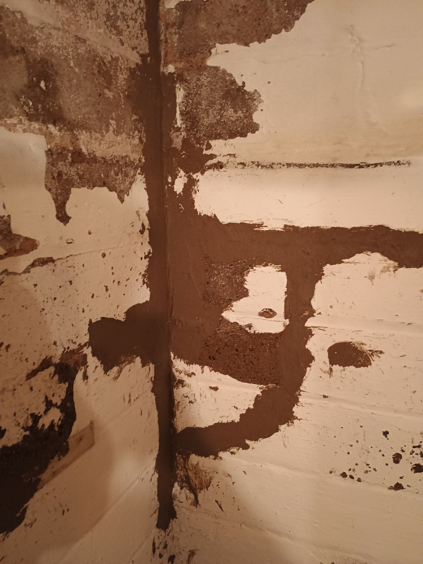 Updating Taylor's Waterproofing System by Waterproofing Northeast