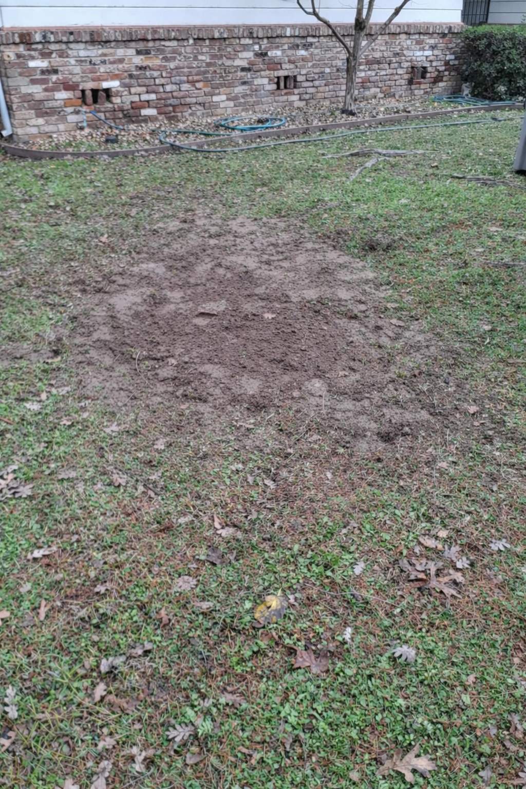 Targeted Sewer Repair After Repeated Backups by McCray's Handyman, Inc.
