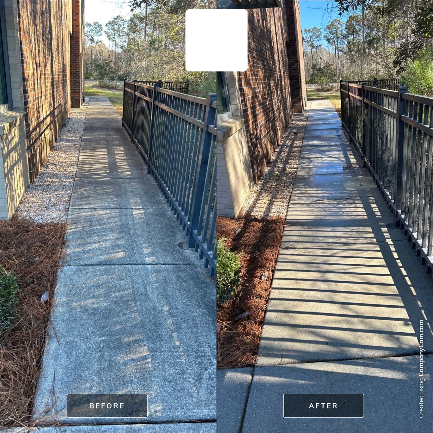 Concrete Cleaning in Hampstead by Shark Power Washing