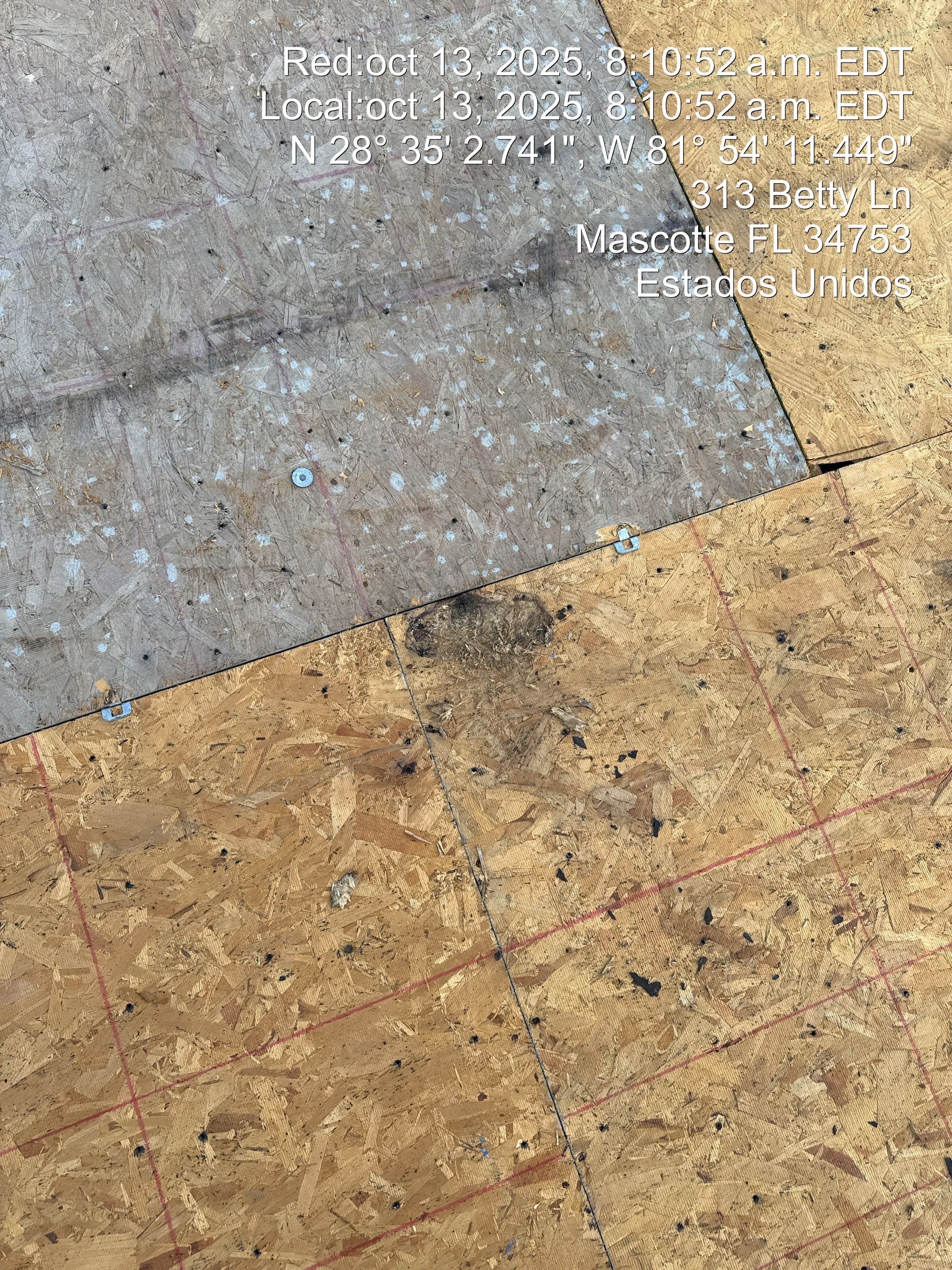 Project in Mascote by You Restorations LLC DBA YOU-Home