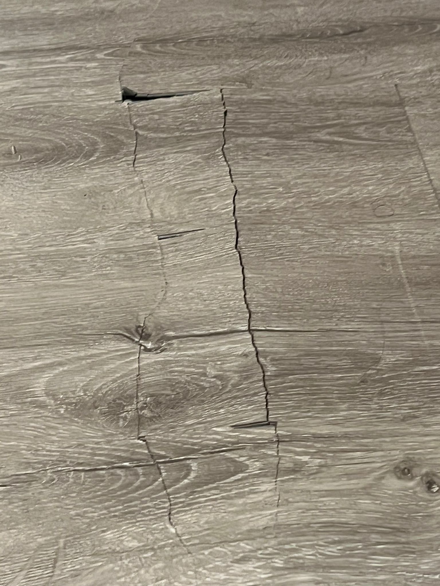 Water Damage Claim in Tampa by FLAPA & KeyStone