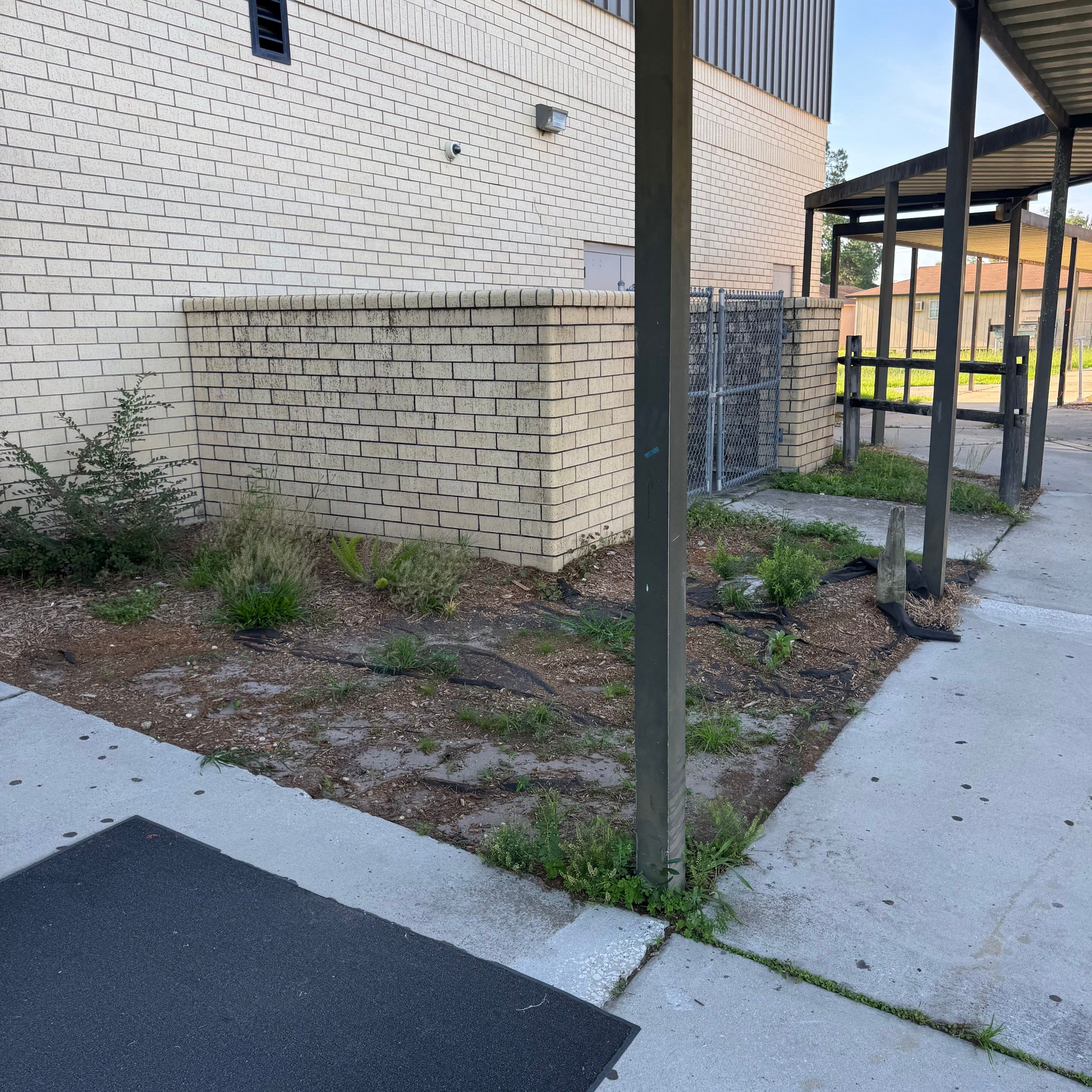Green Cove Springs Junior High School | Landscape Refresh by ProGreen Services