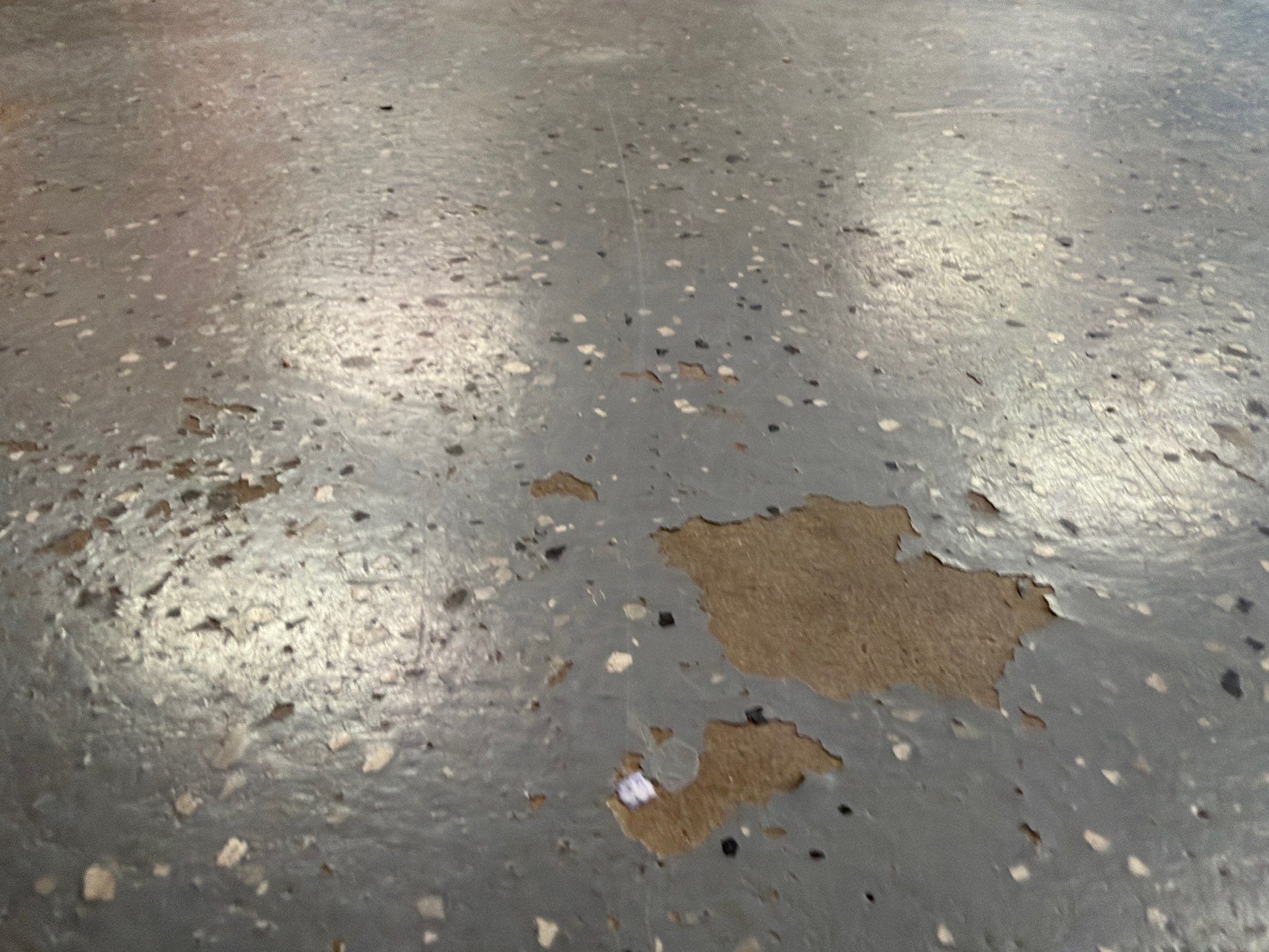 Custom Grey Flake Epoxy Garage Floor Installation in Remsen by Select Painting, Coatings & Garage Cabinets