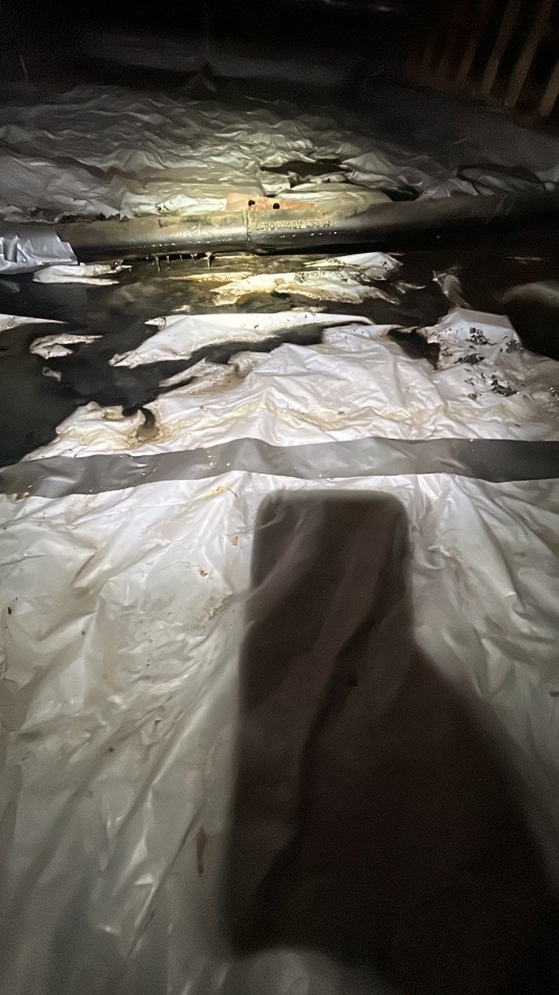 Sewage Backup by Accountable Home Services