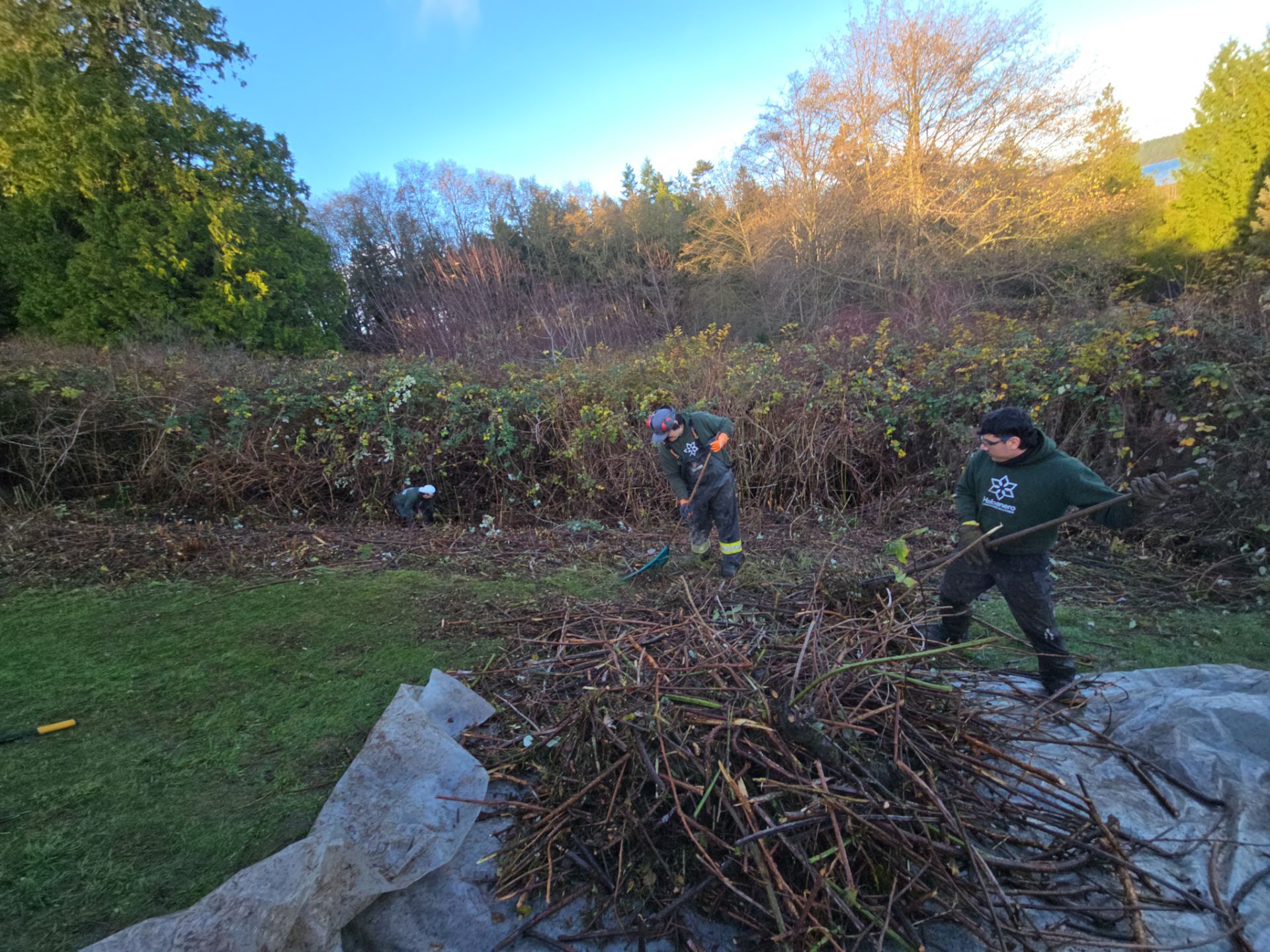 Island View - Ecological Restoration & Stewardship by Habanero Landscape Solutions
