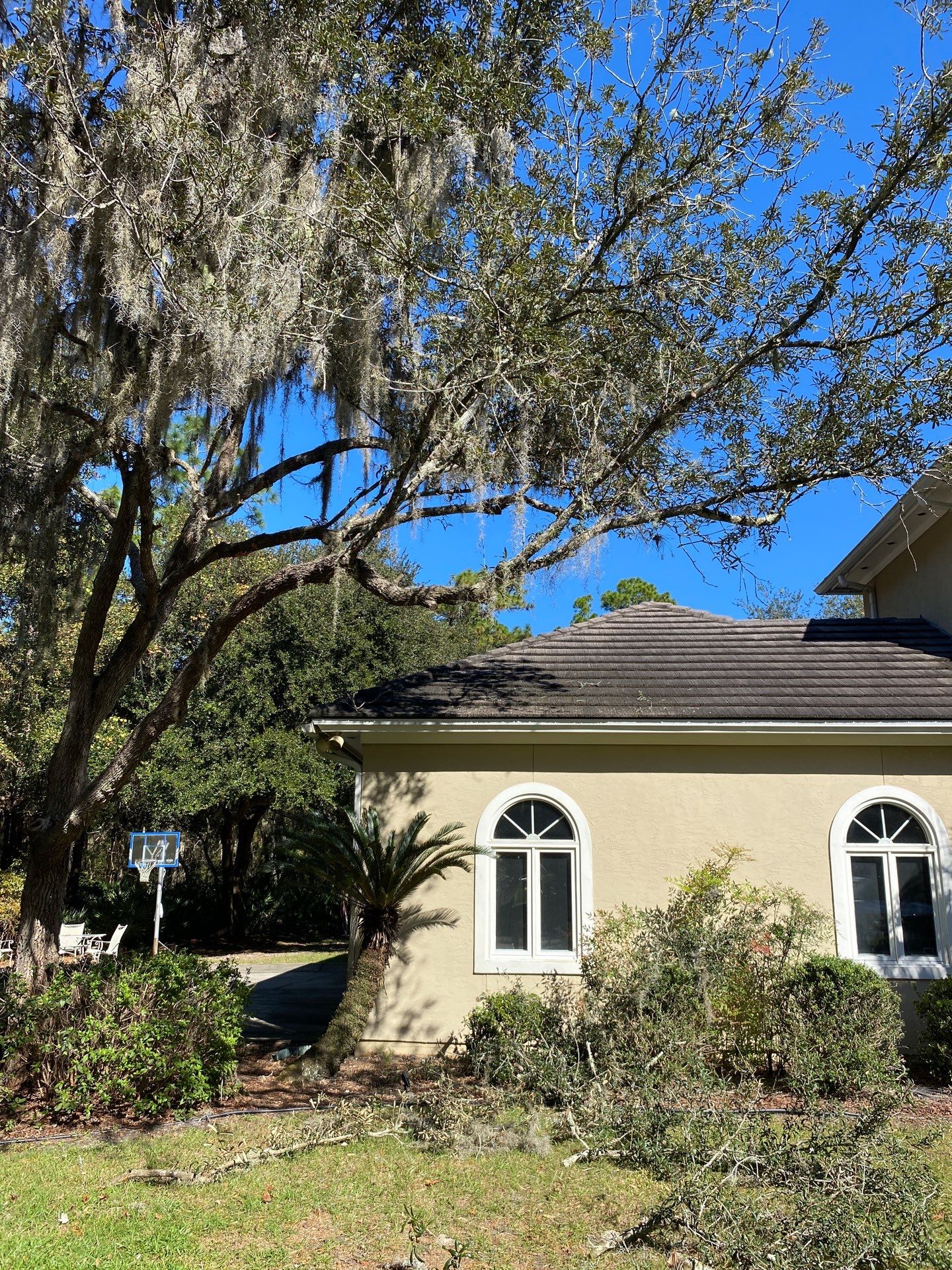 Deerwood Residence | Tree Work by ProGreen Services