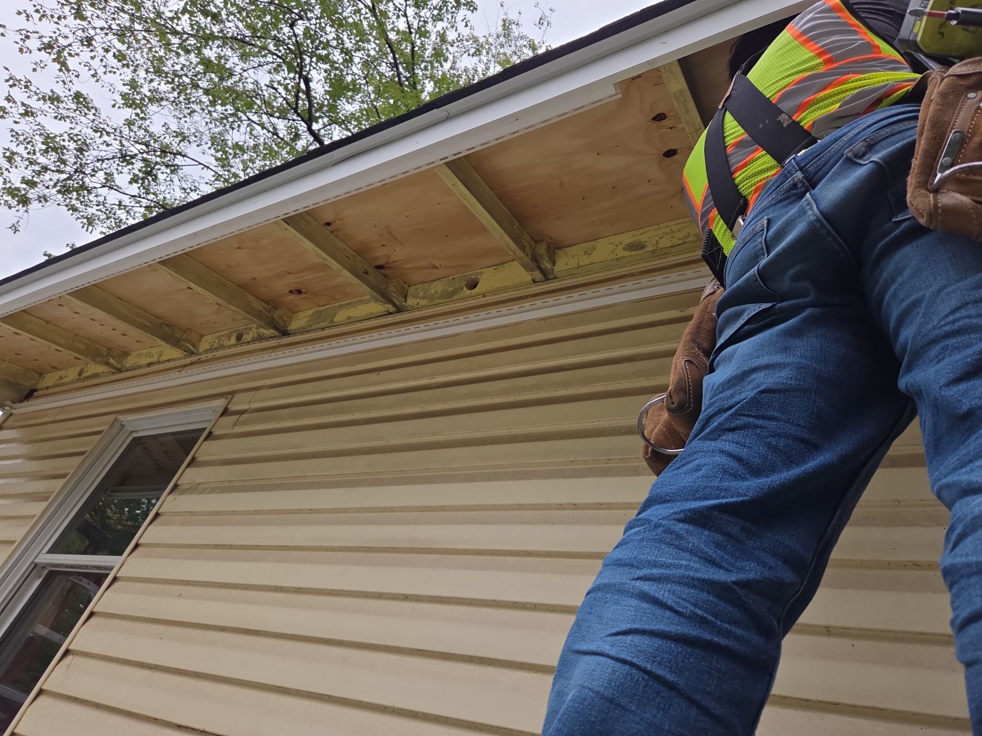 Burke : Residential Roof Replacement with CertainTeed Landmark Pro in Max Def Charcoal Black  by RM Banning, Inc.