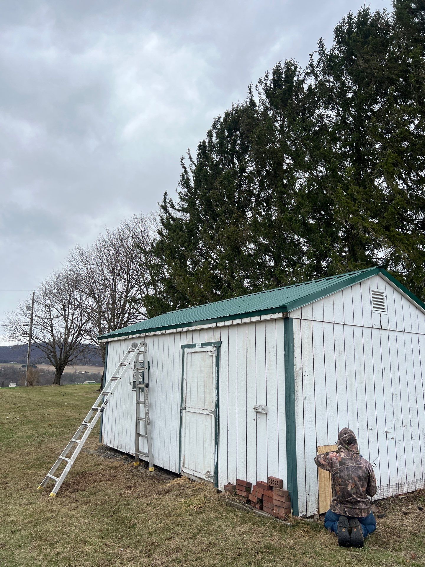 Green Metal Roof Replacement on Detached Shed in Halifax by Esh Builders