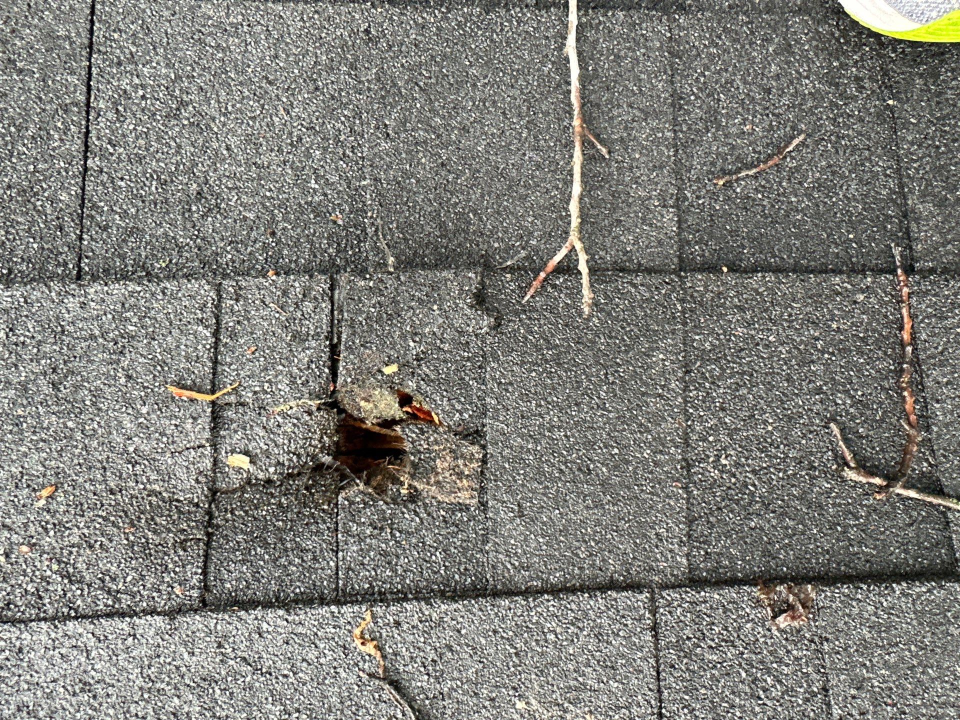 Asphalt Shingle Roof Repair After Tree Damage in Liberty by Liberty Roofing