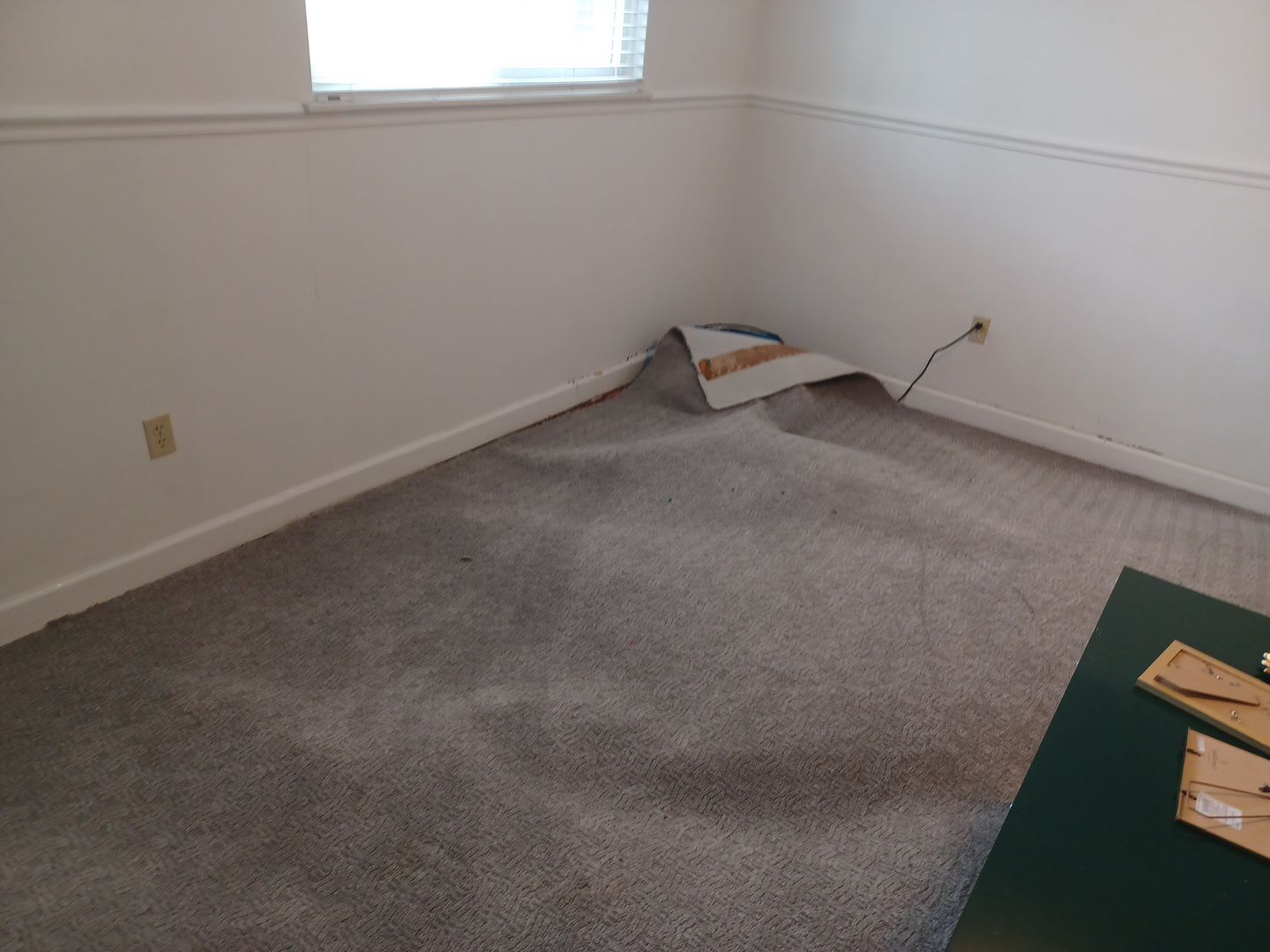 Project in Royal Oak by EzDry Water Mitigation & Property Restoration