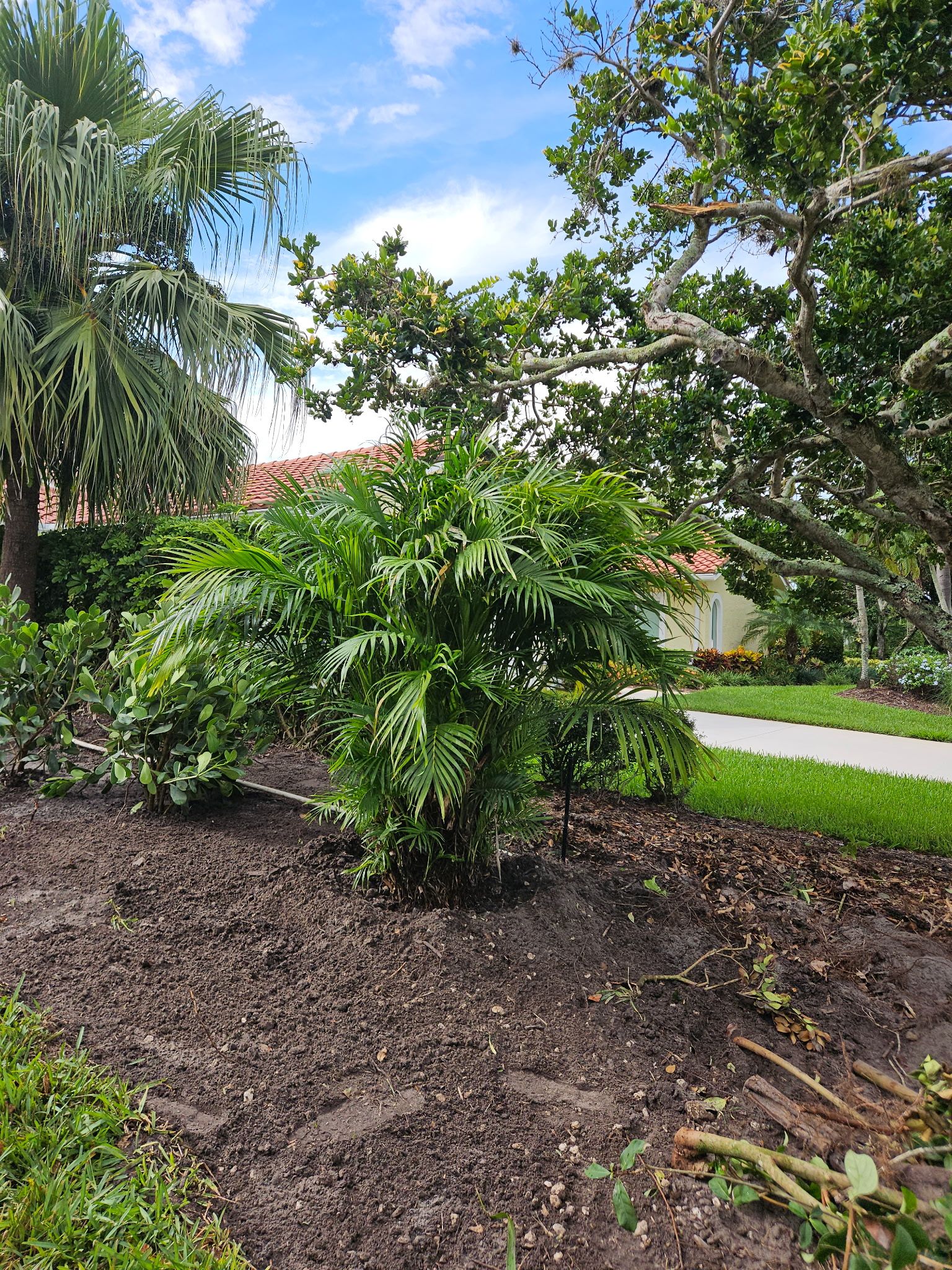 🌴 “Harbour Ridge Haven – A Tropical Revival by Alpha Zeta Landscapes” by Alpha Zeta Enterprises Inc