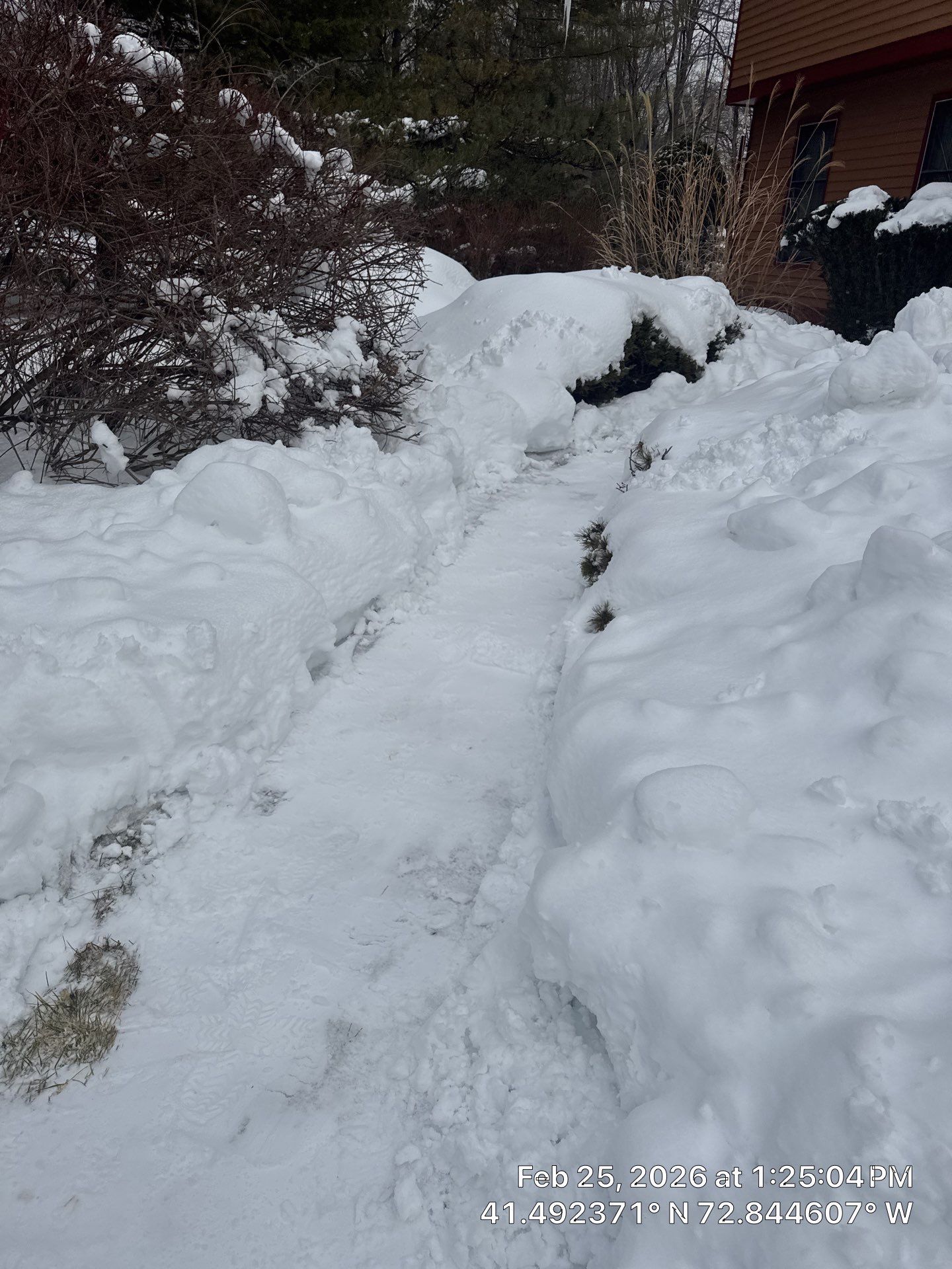 Residential Snow Plowing and Removal Services in Wallingford by Diamond Image LLC