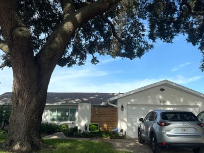 Project in Dunedin 34698