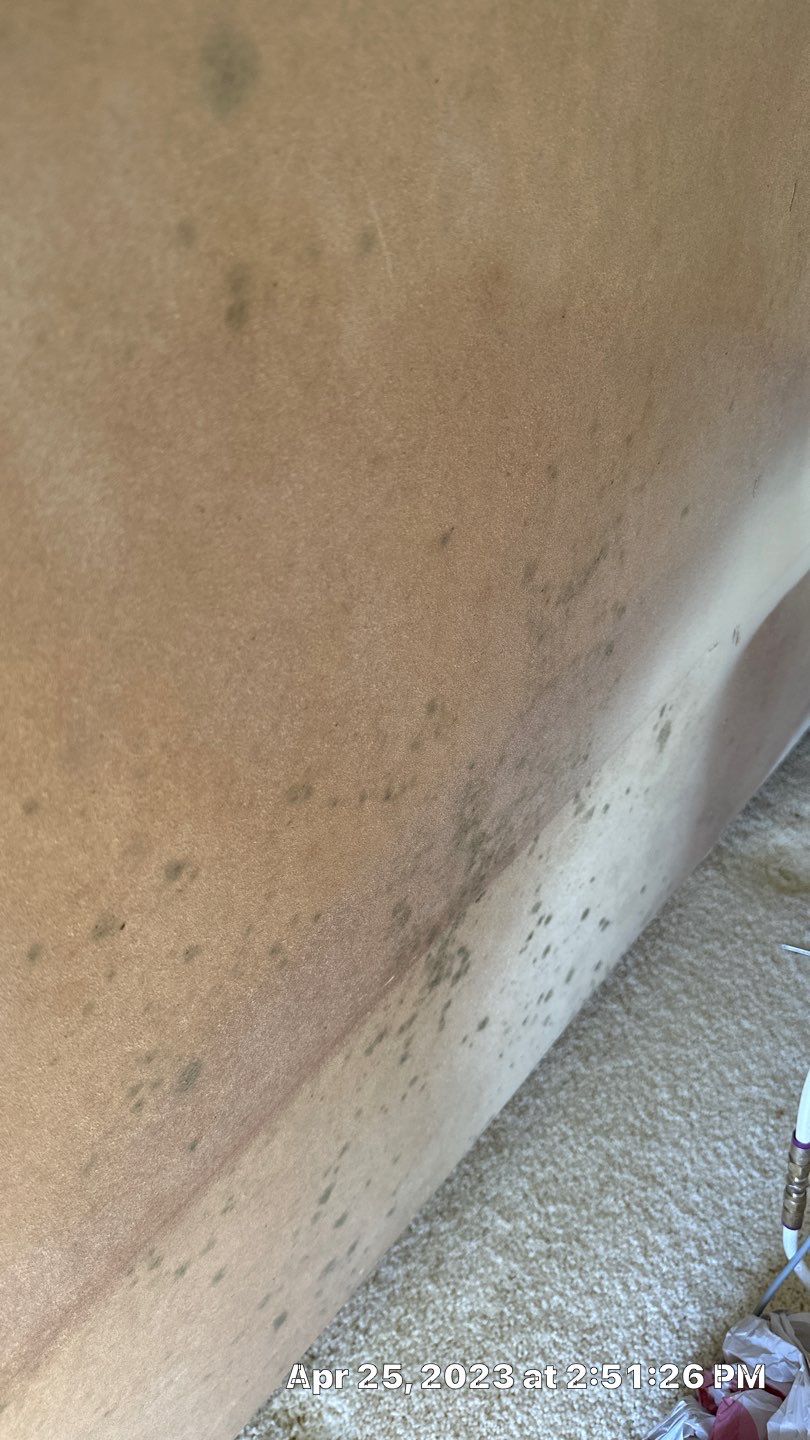 Humidity Bloom that caused mold to Grow by Building performance Solutions LLC