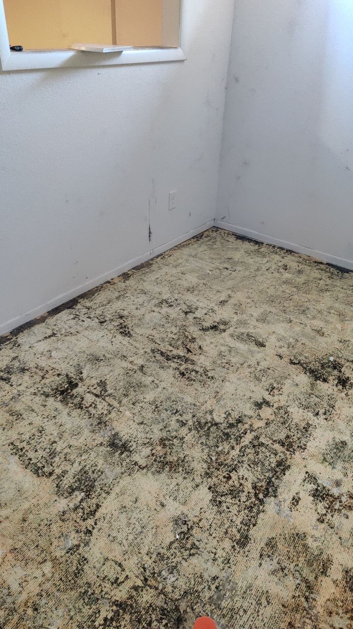 Water Damage by Accountable Home Services