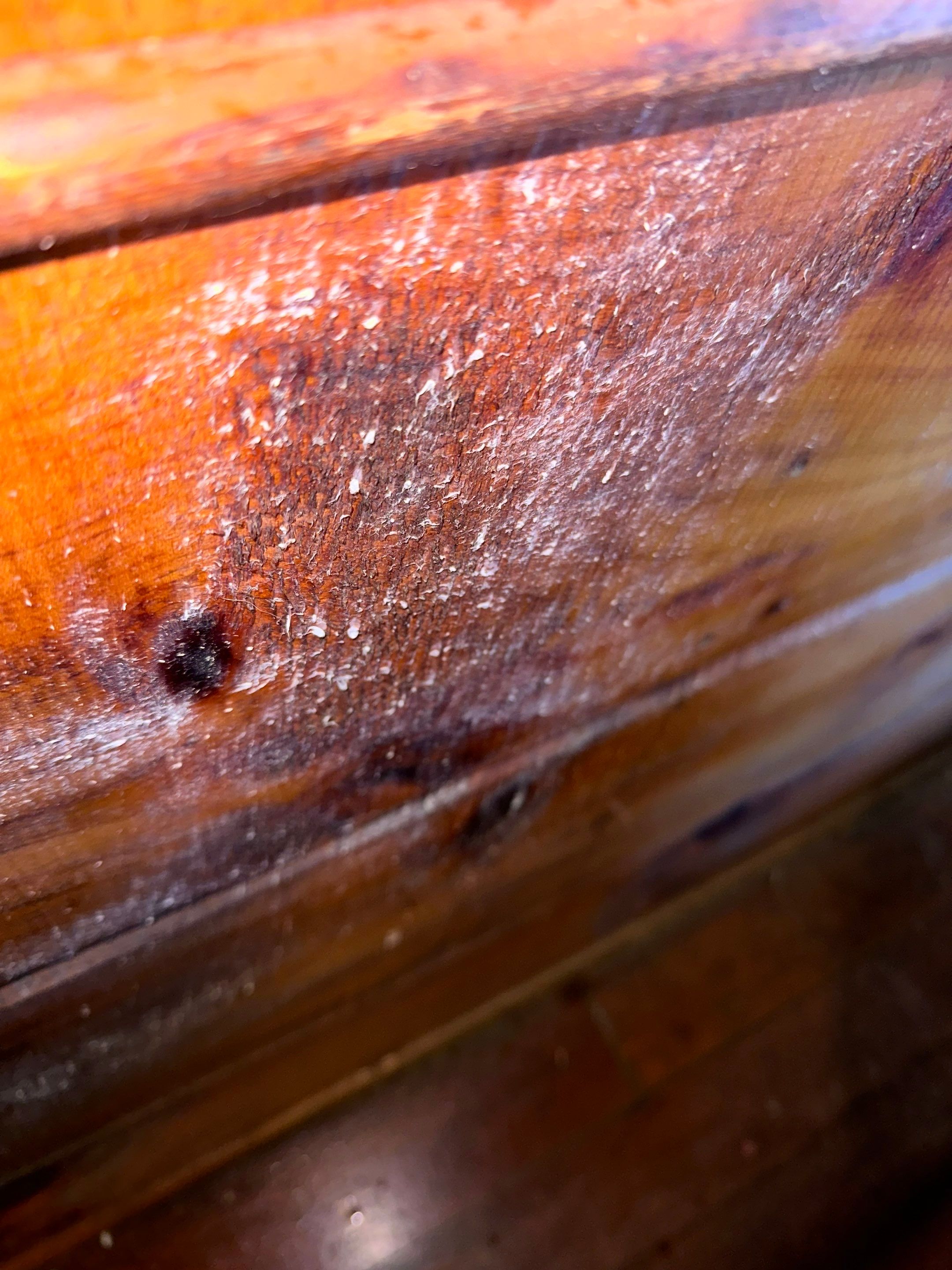 Entire Home Remediation by Home Guarantee, LLC